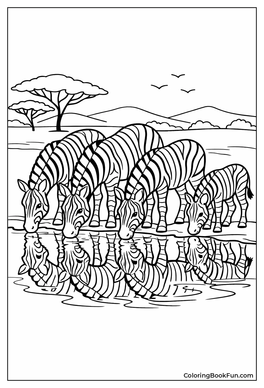 Zebras at the Watering Hole
