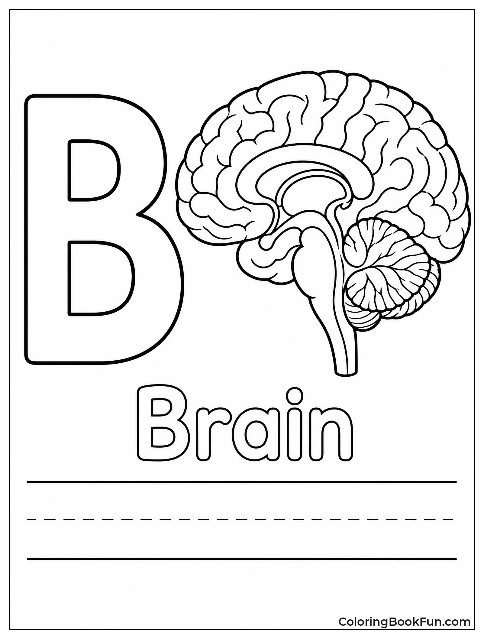 Letter B Next To Brain