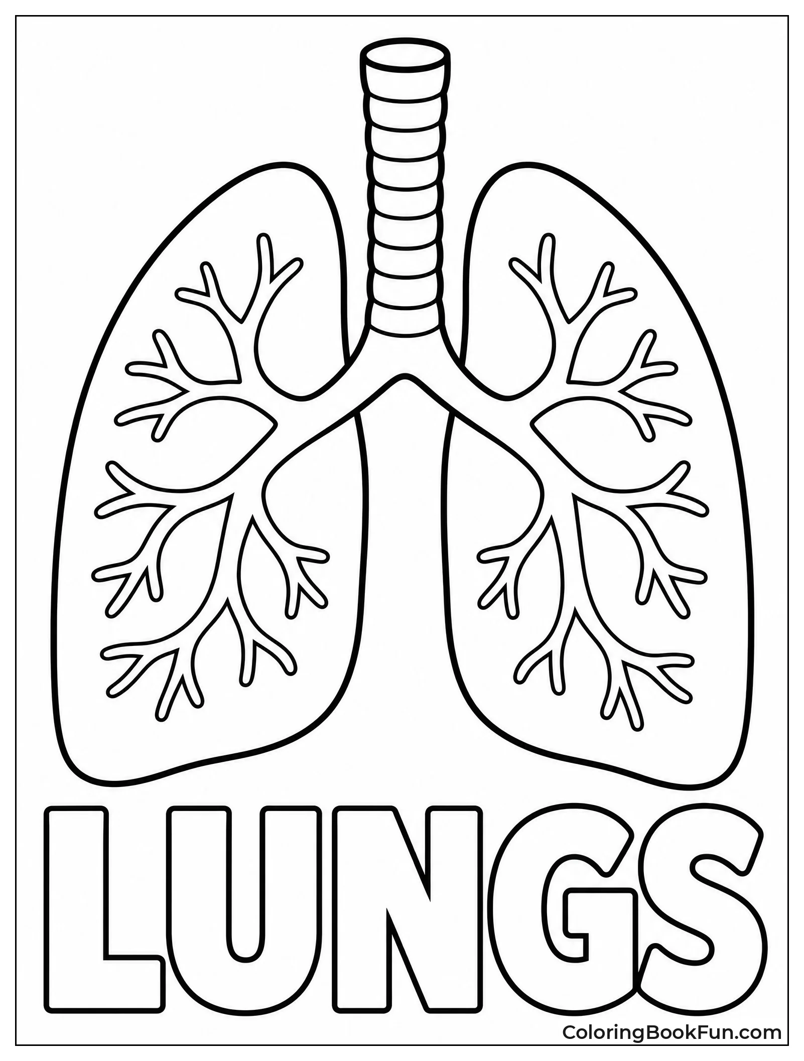 Lungs In Big Bubble Letters