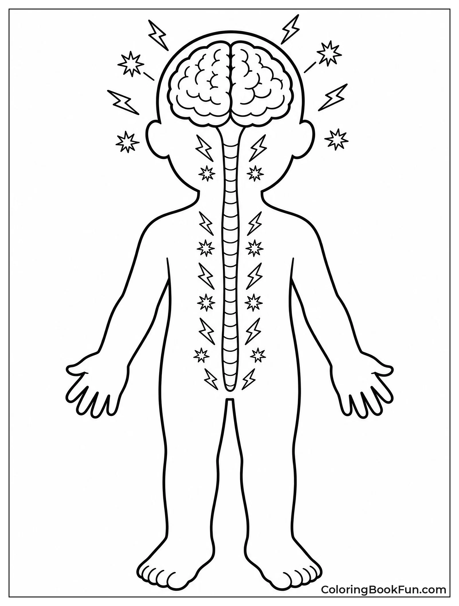 Sparks Travel Along Nervous System