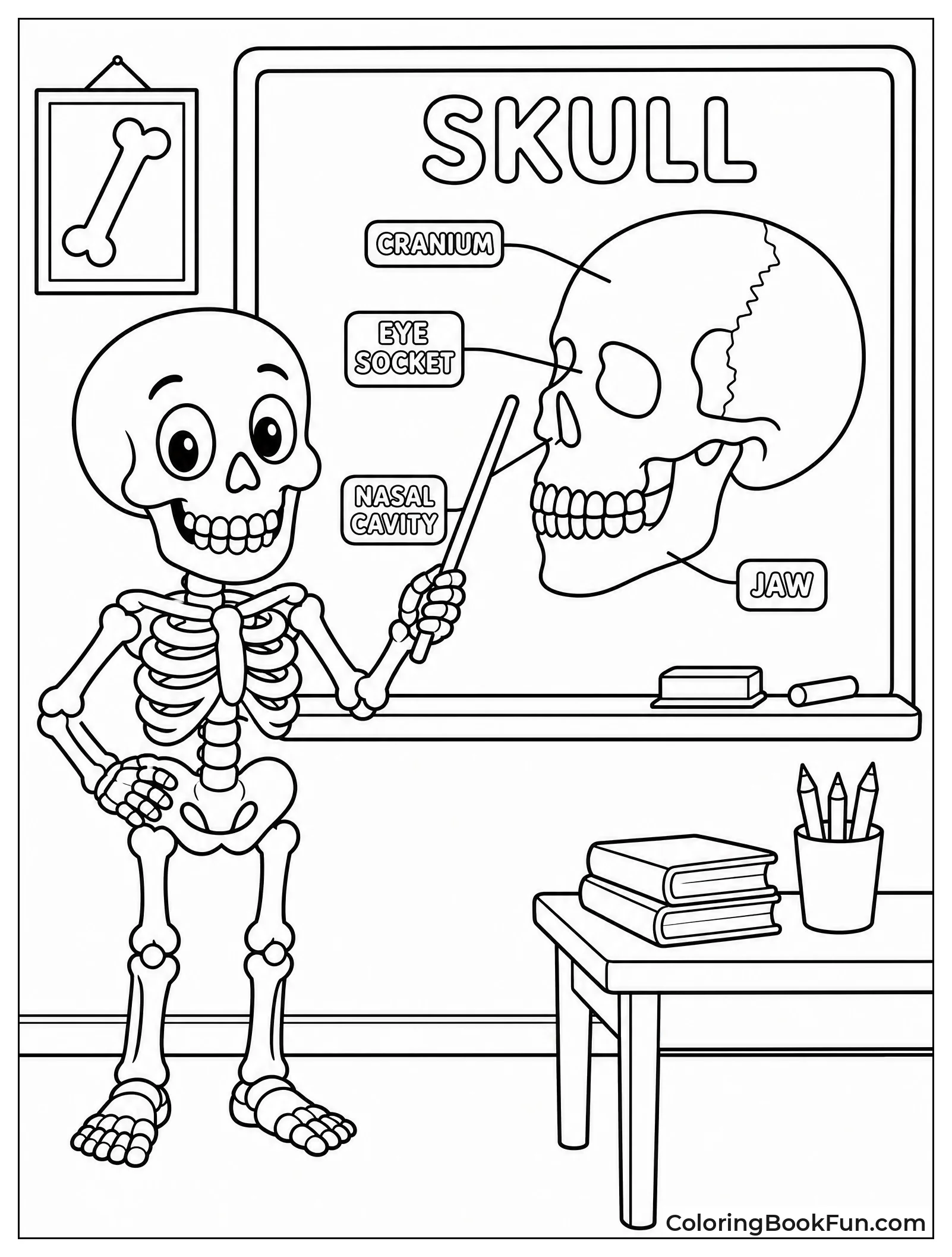 Skeleton Teaches At Chalkboard