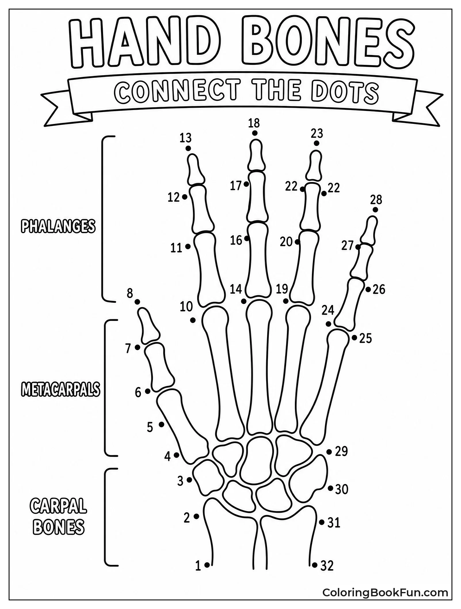 Connect Dots To See Hand Bones
