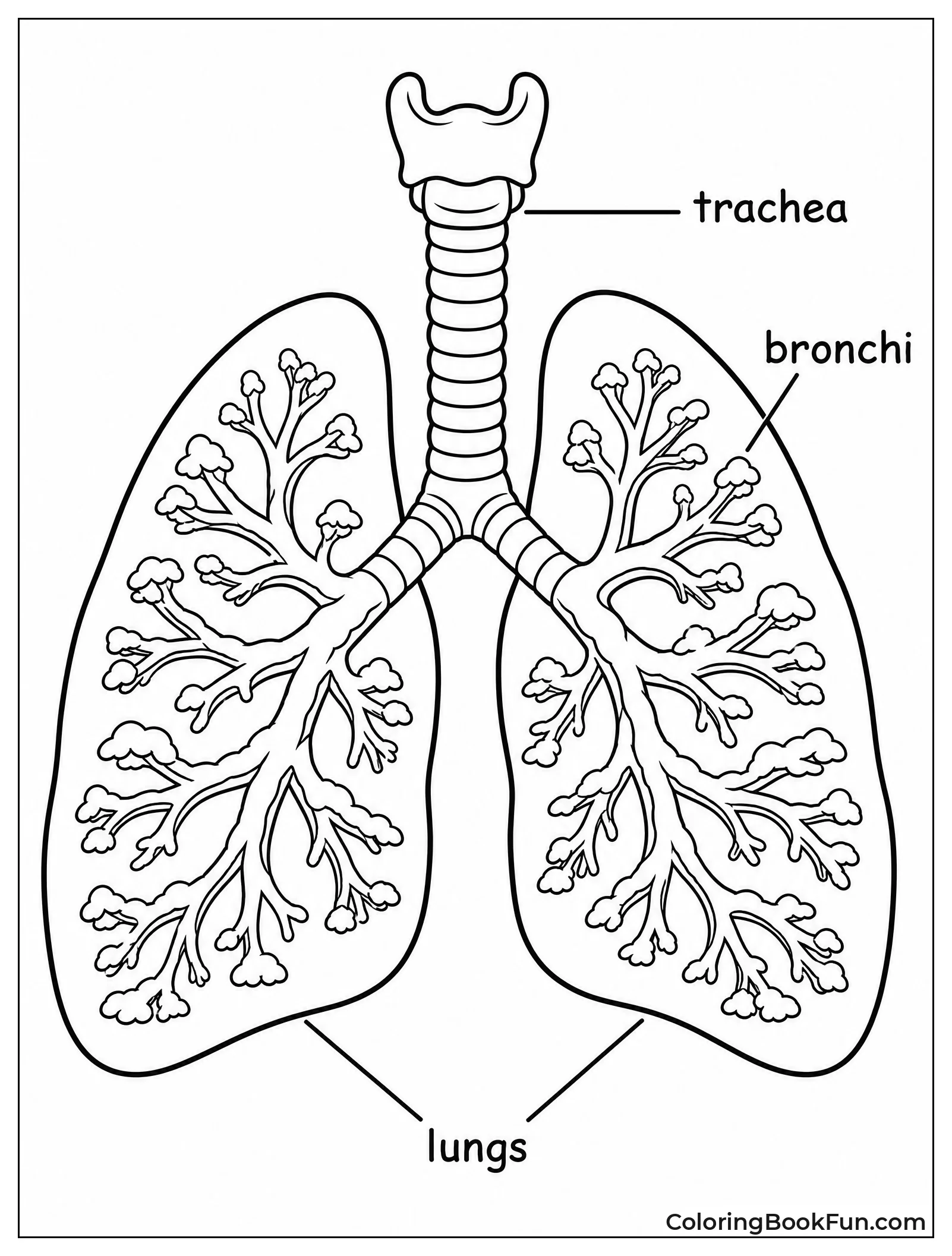Lungs Look Like Winter Trees