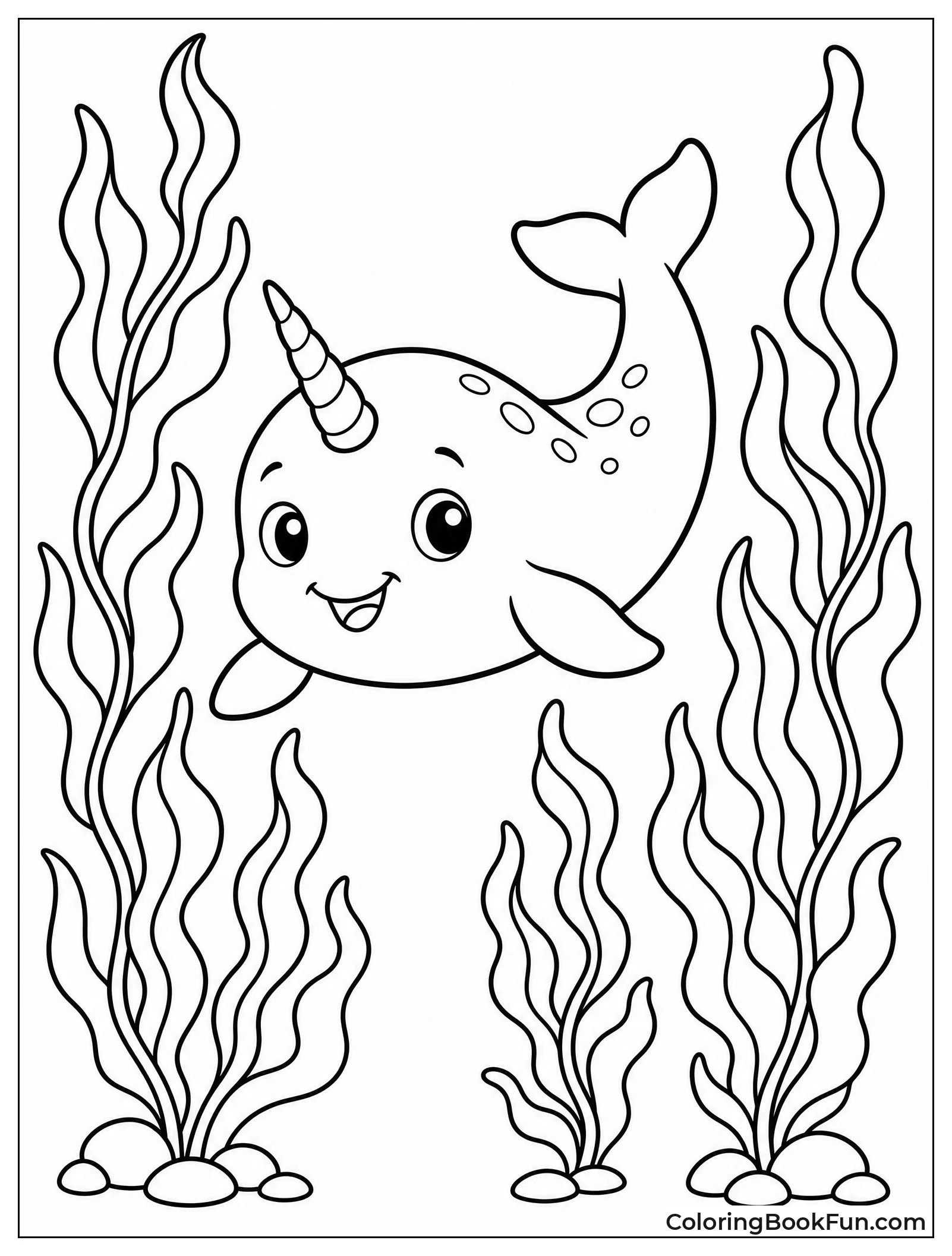 Baby Narwhal Exploring Kelp Forest