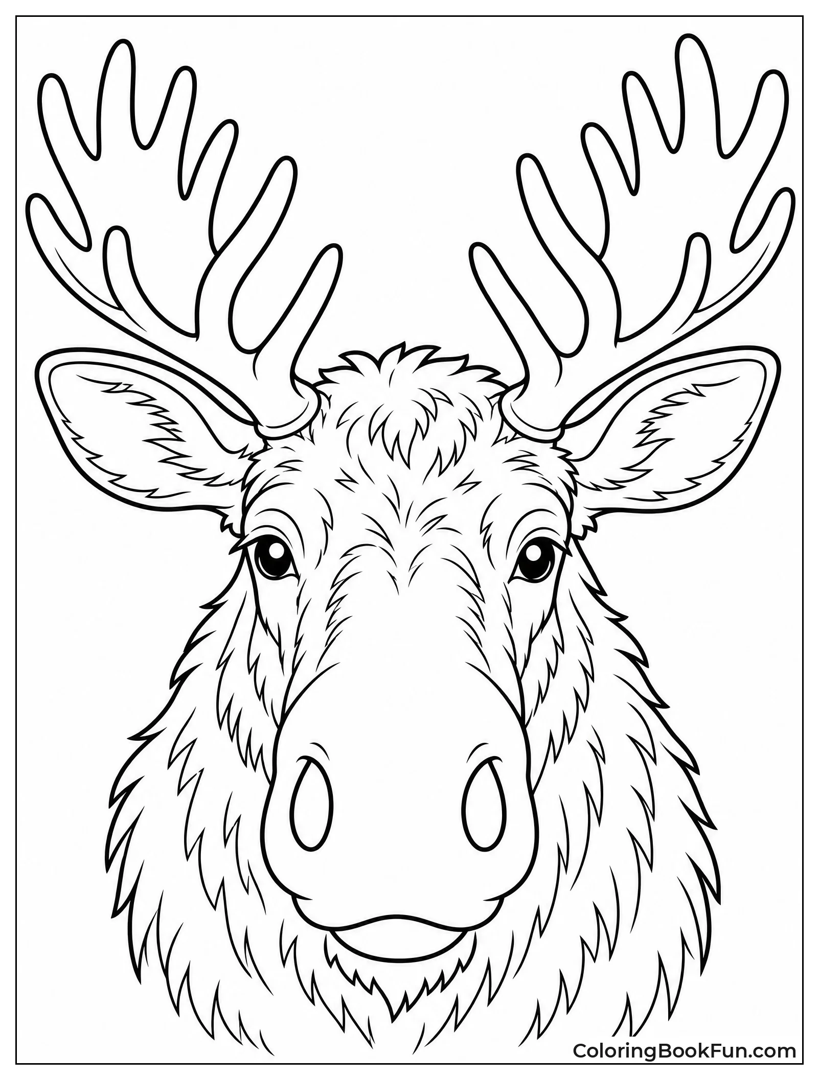 Close Up Portrait of Moose