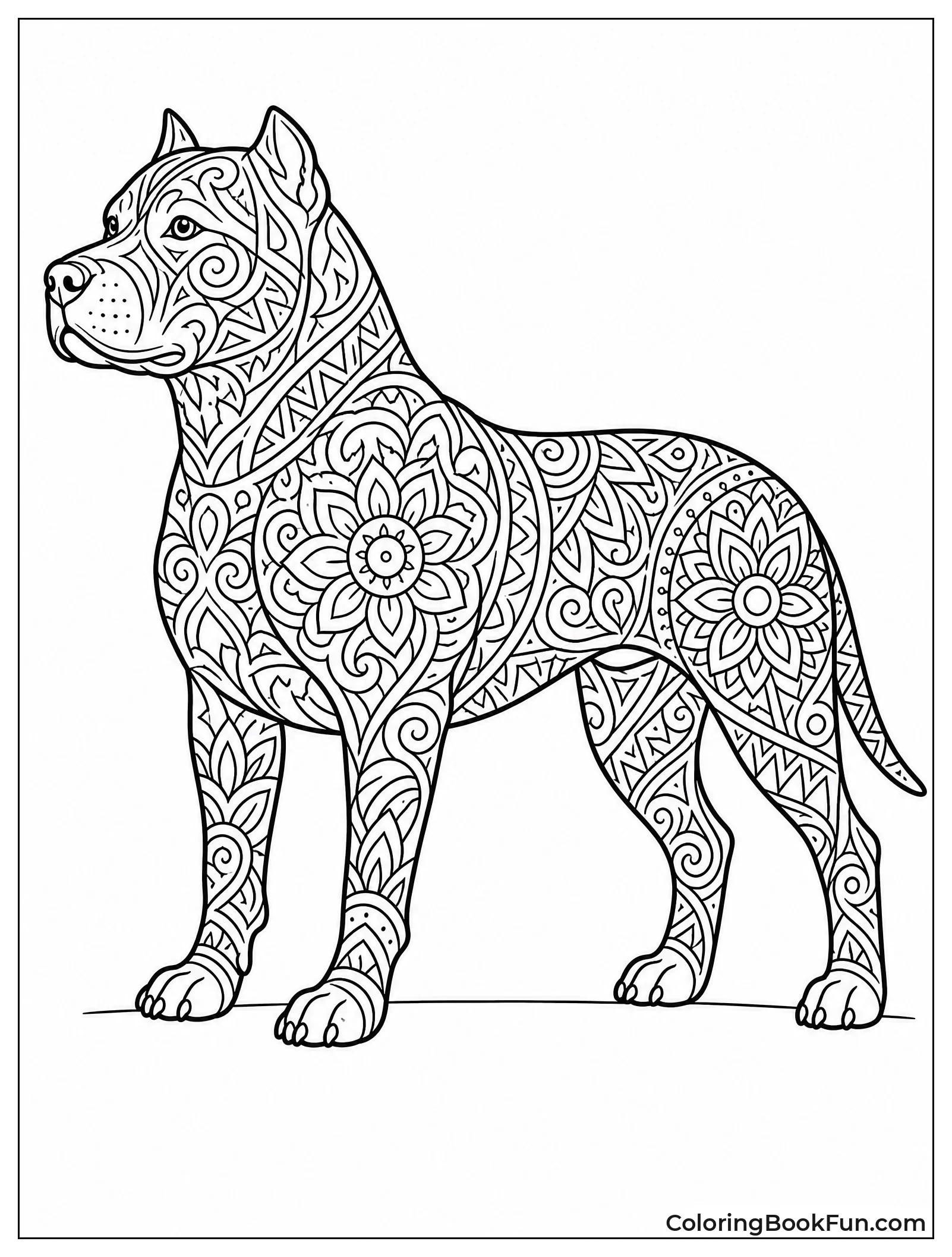 Pitbull Filled with Mandala Patterns