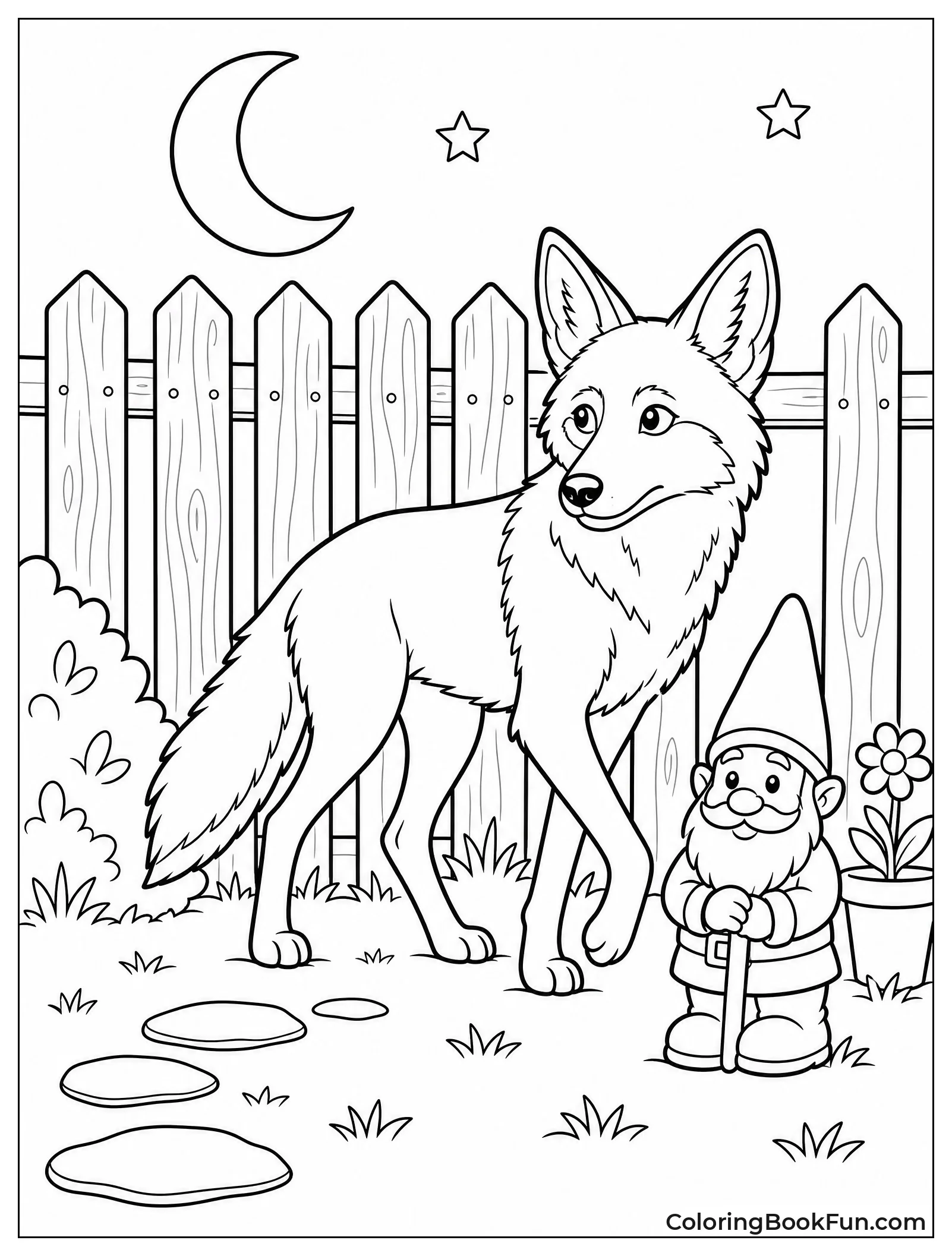 Coyote Exploring Backyard at Night