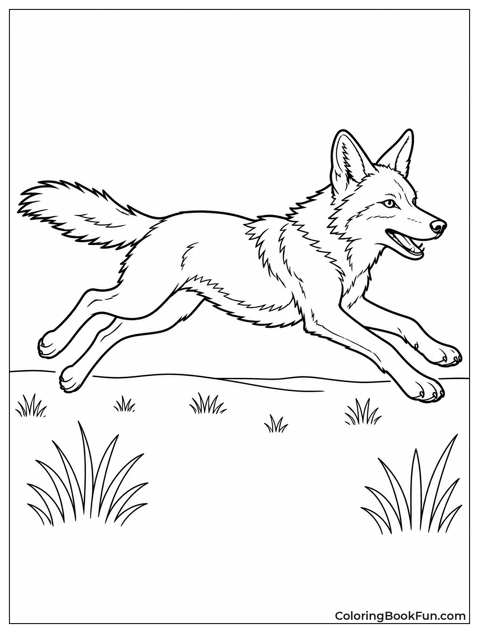 Coyote Running Fast Across Prairie