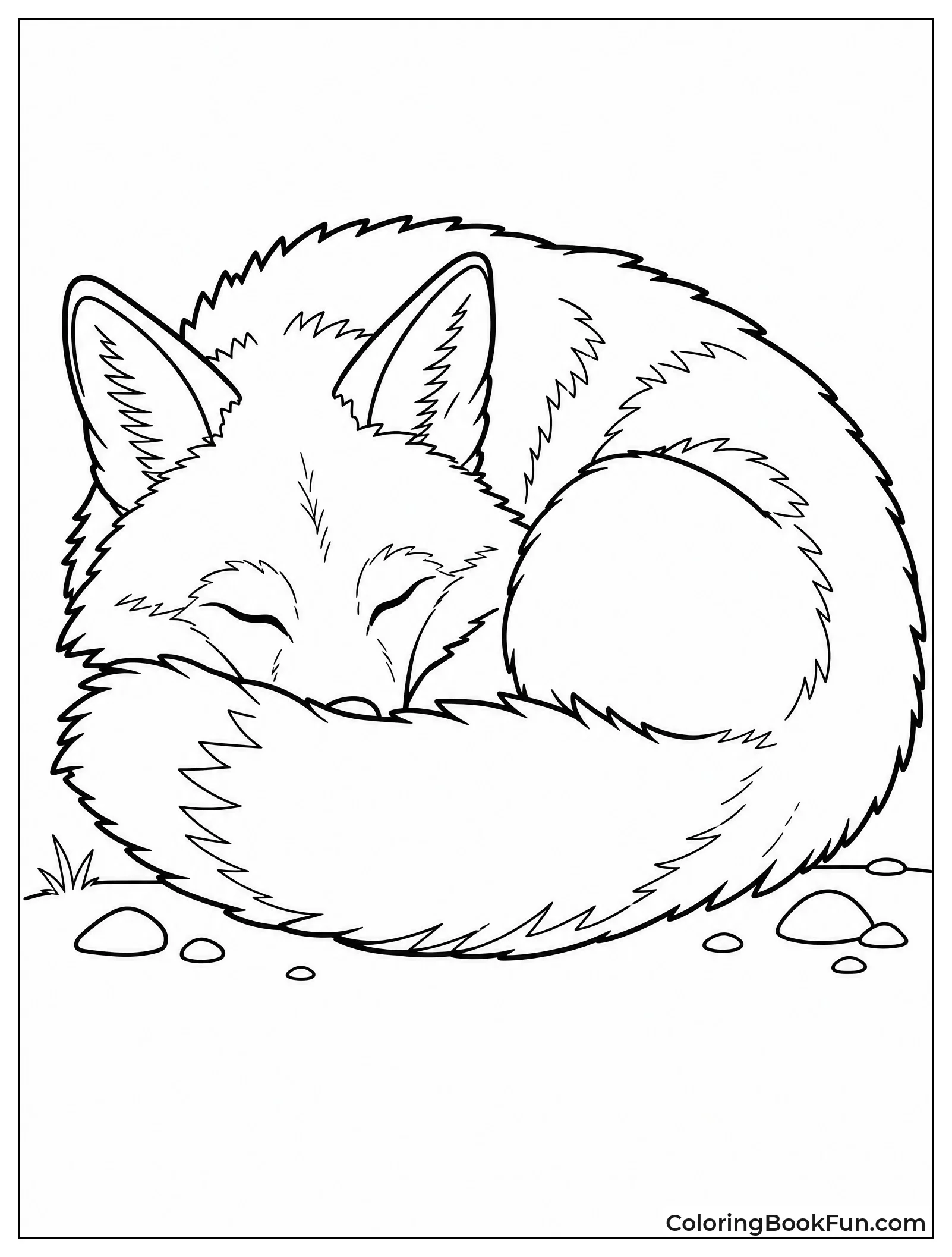 Coyote Curled Up for Sleep