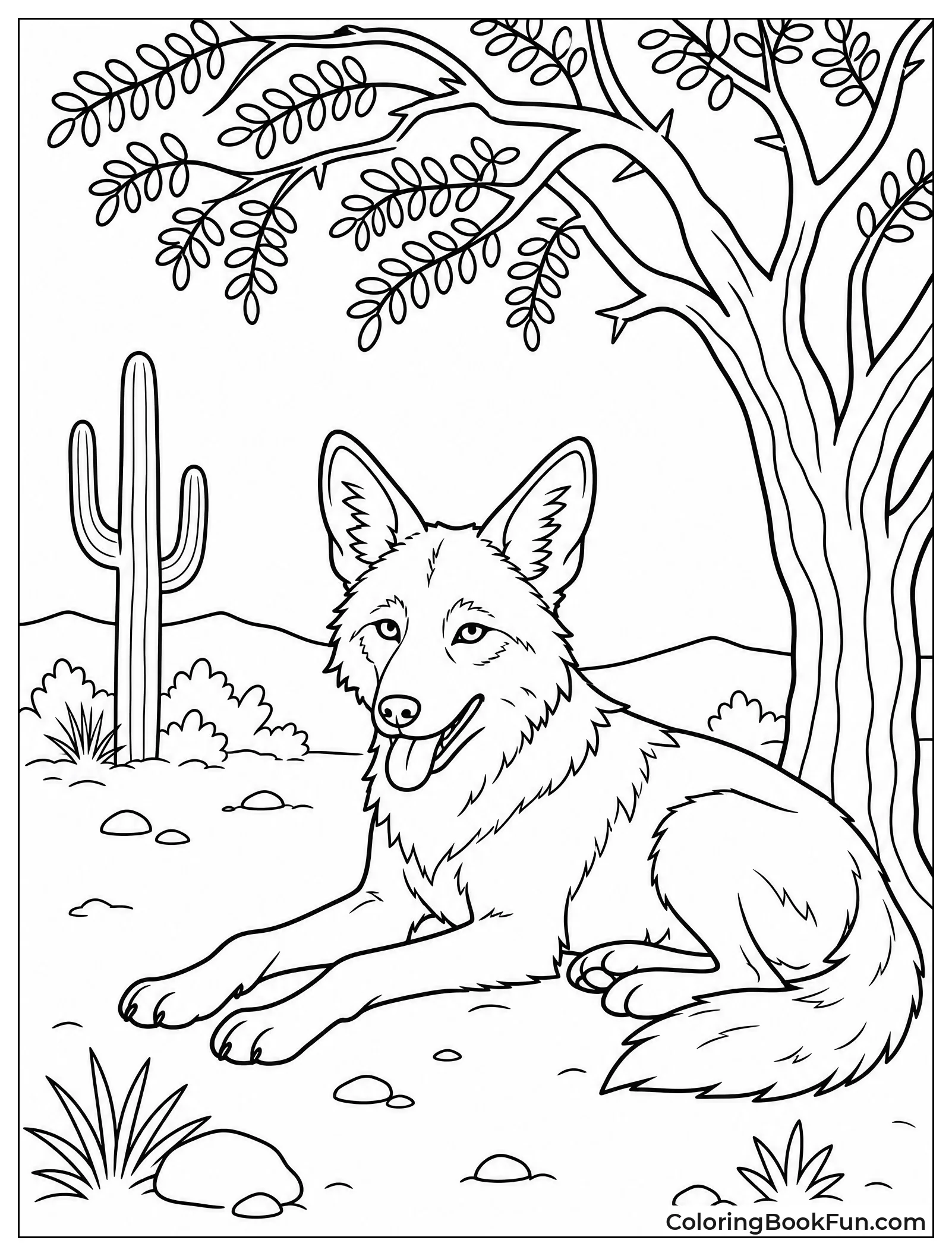 Coyote Resting Under Mesquite Tree