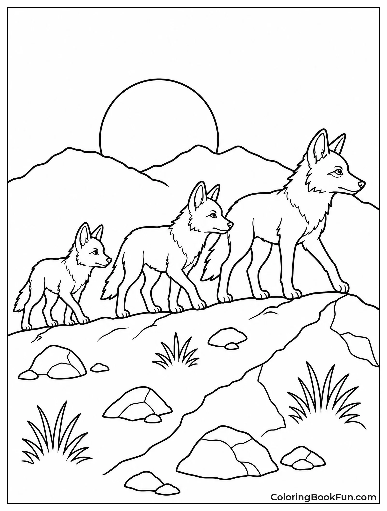 Coyotes Walking Along Mountain Ridge