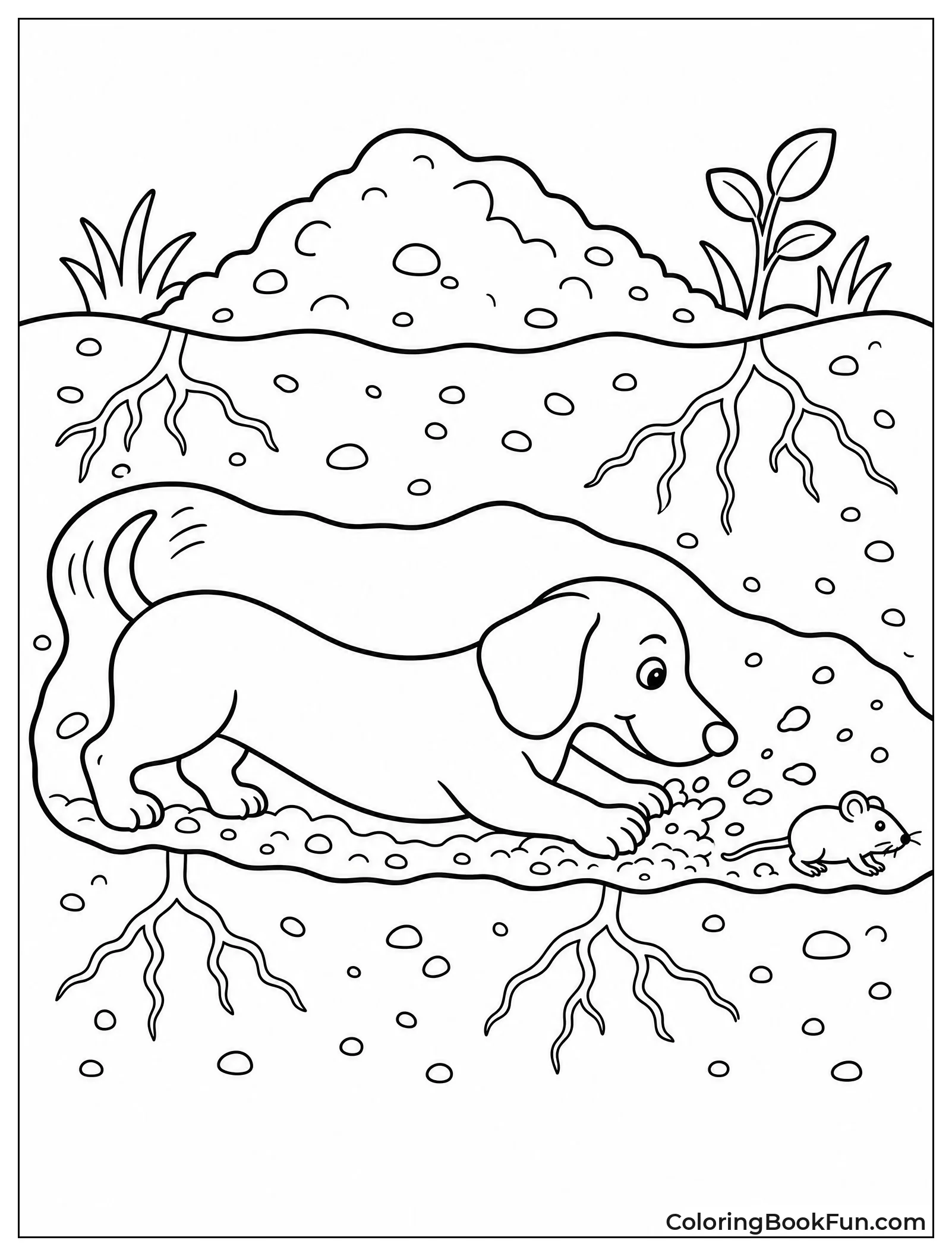 Dachshund Digs in Burrow