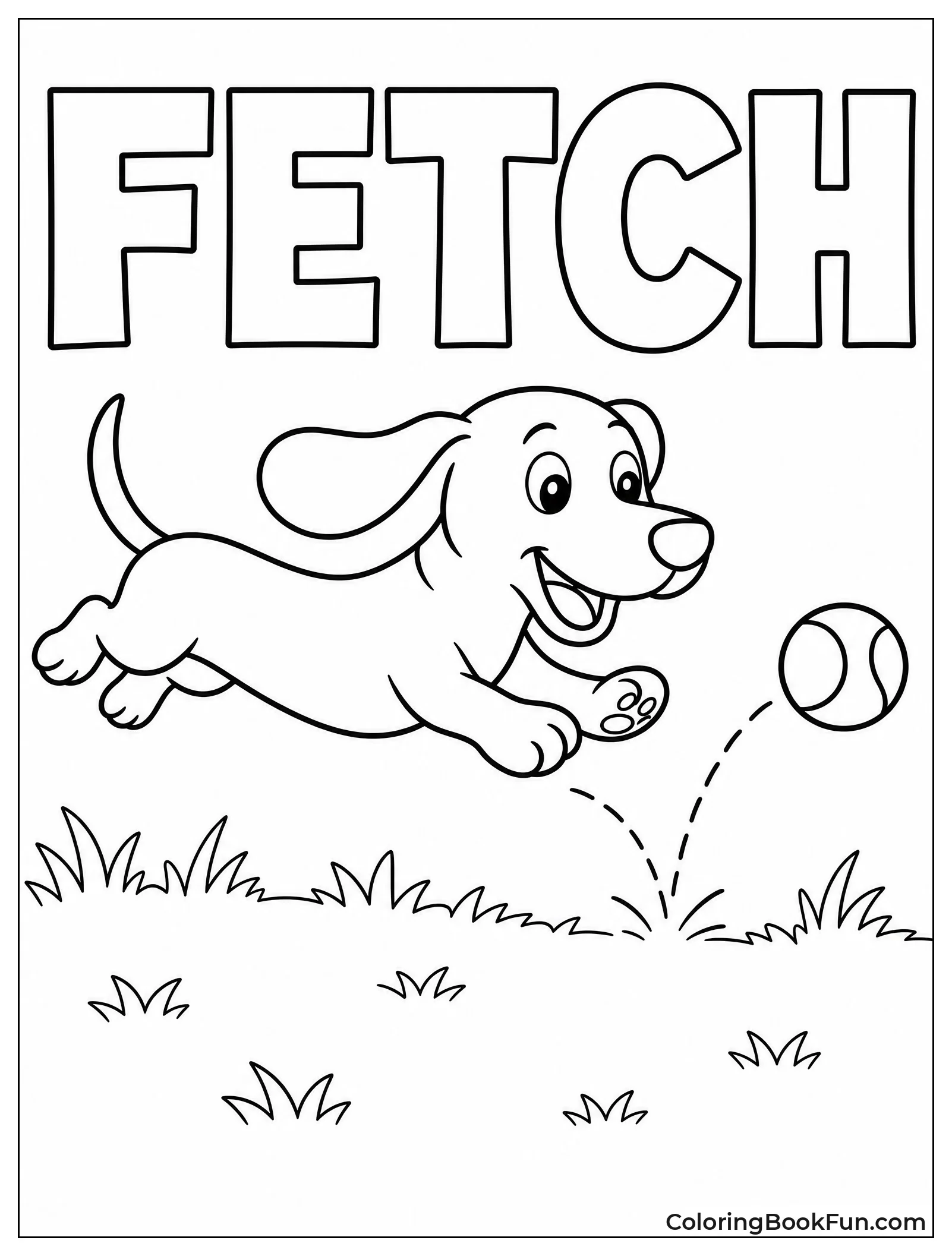Dachshund Leaps for Tennis Ball