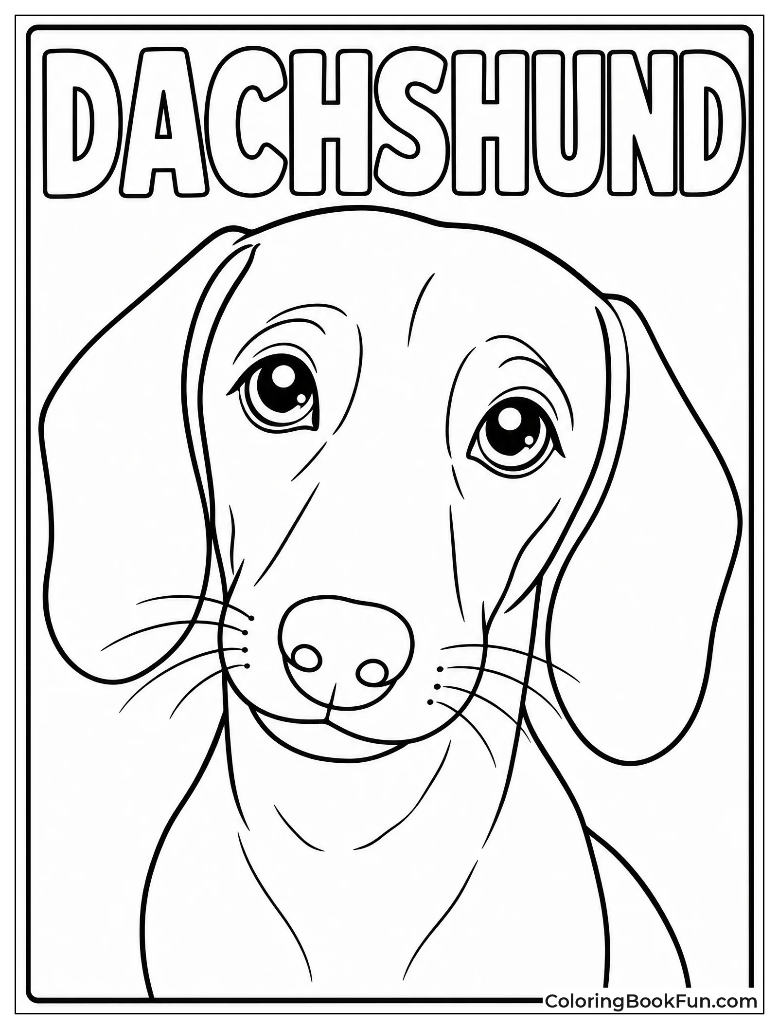 Close Up of Dachshund Face