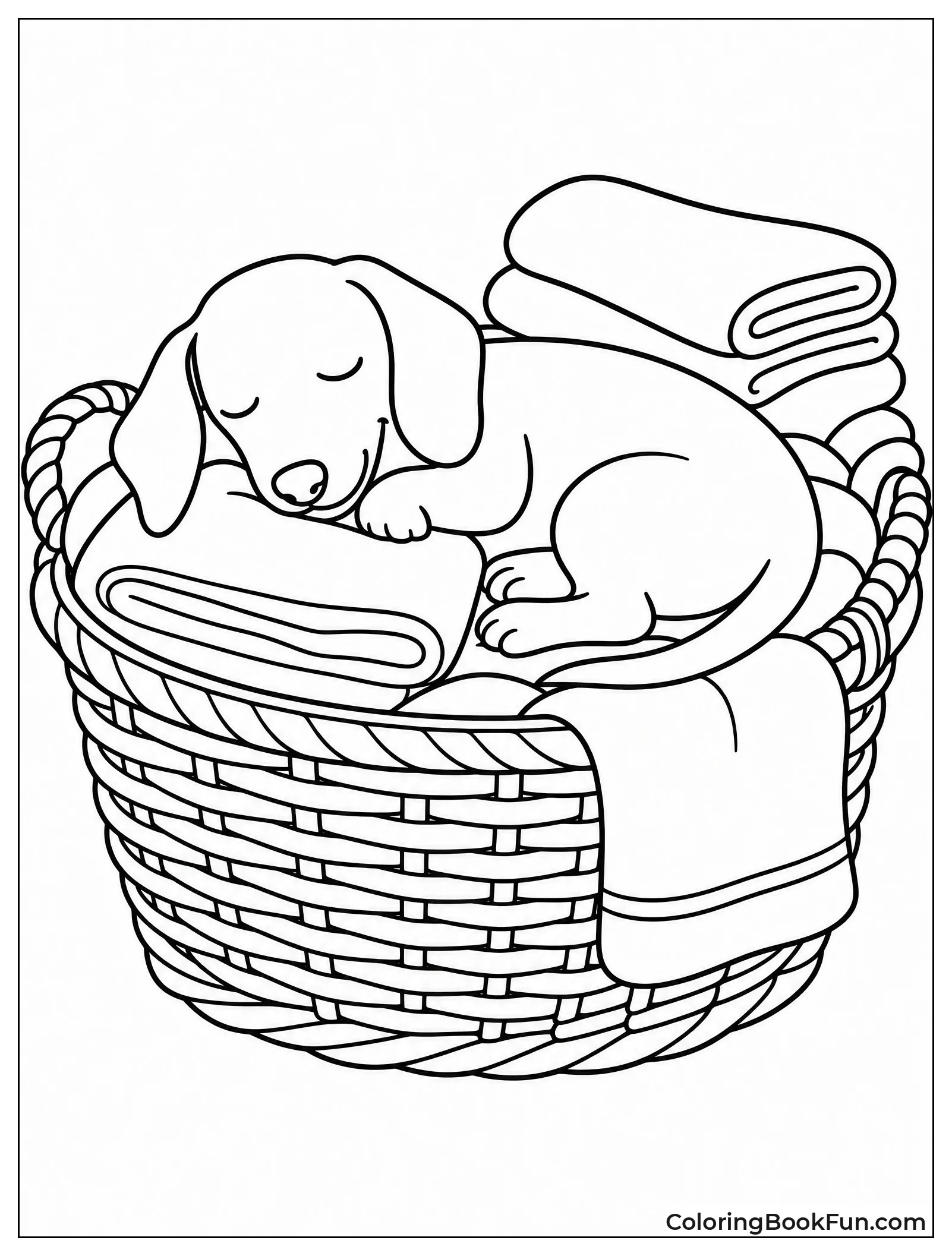 Dachshund Sleeps in Basket