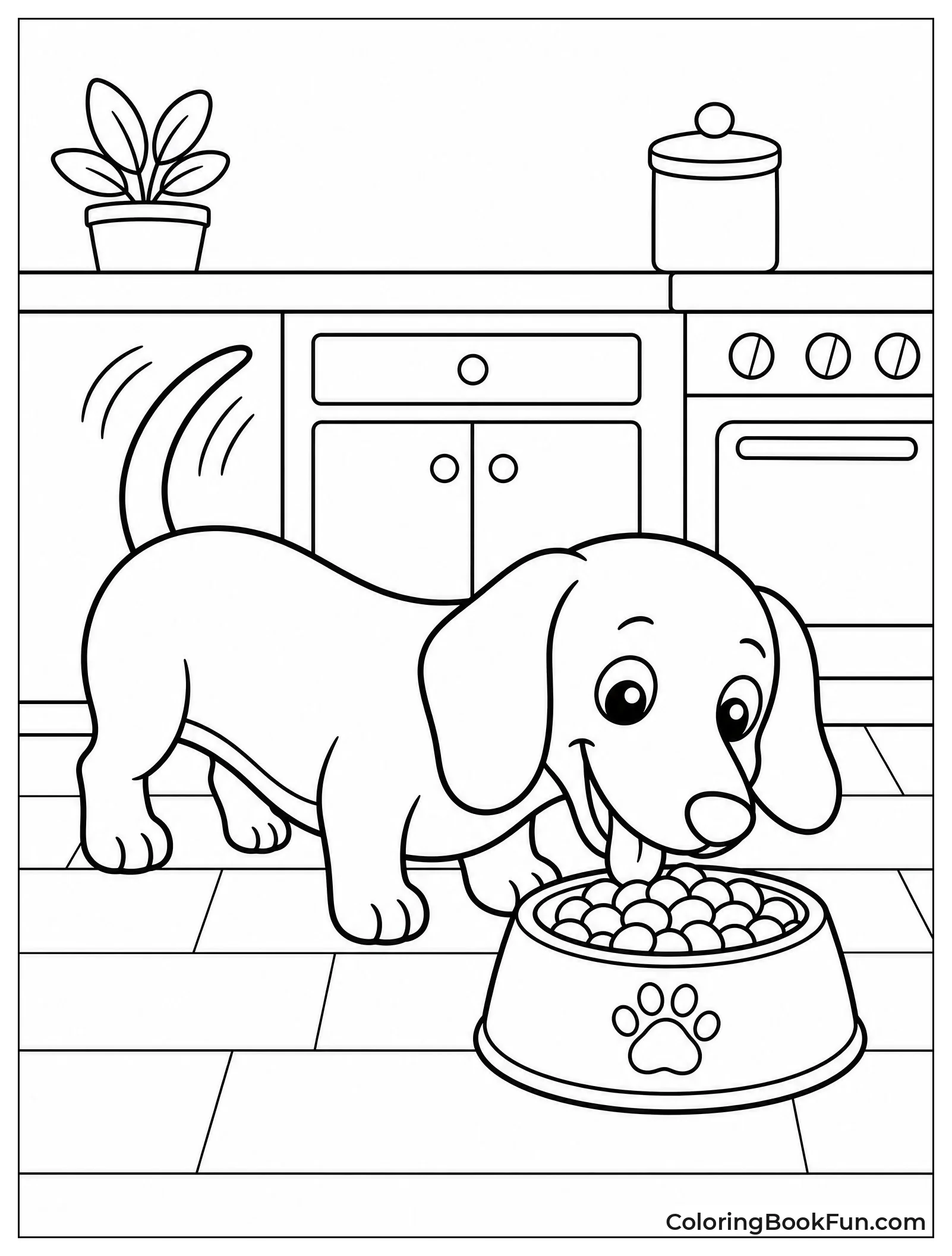 Dachshund Eats from Bowl