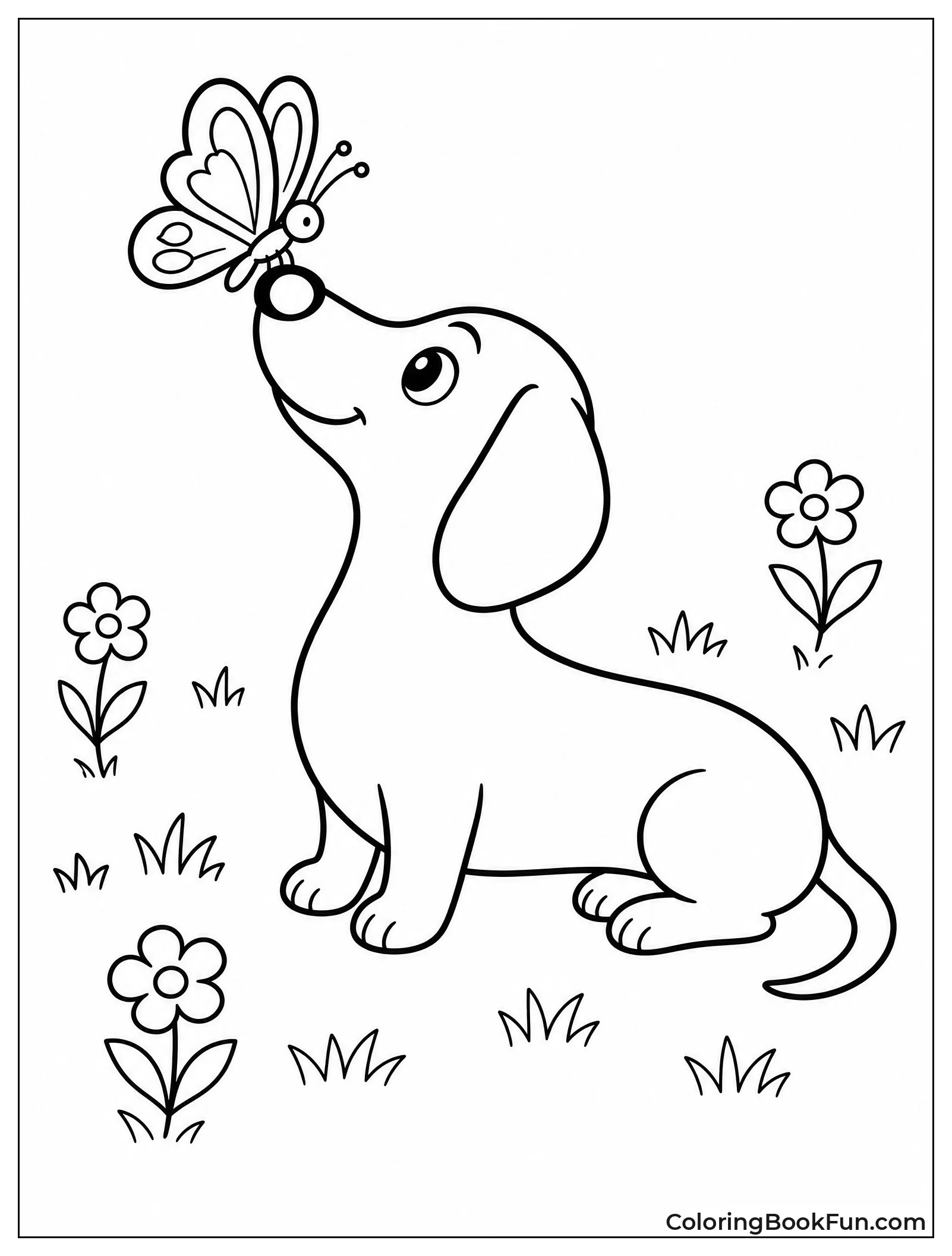 Butterfly on Dachshund Nose