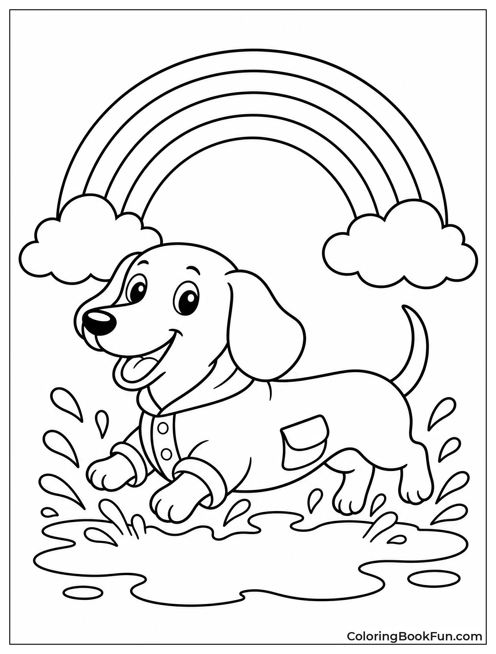 Dachshund Splashes in Puddle