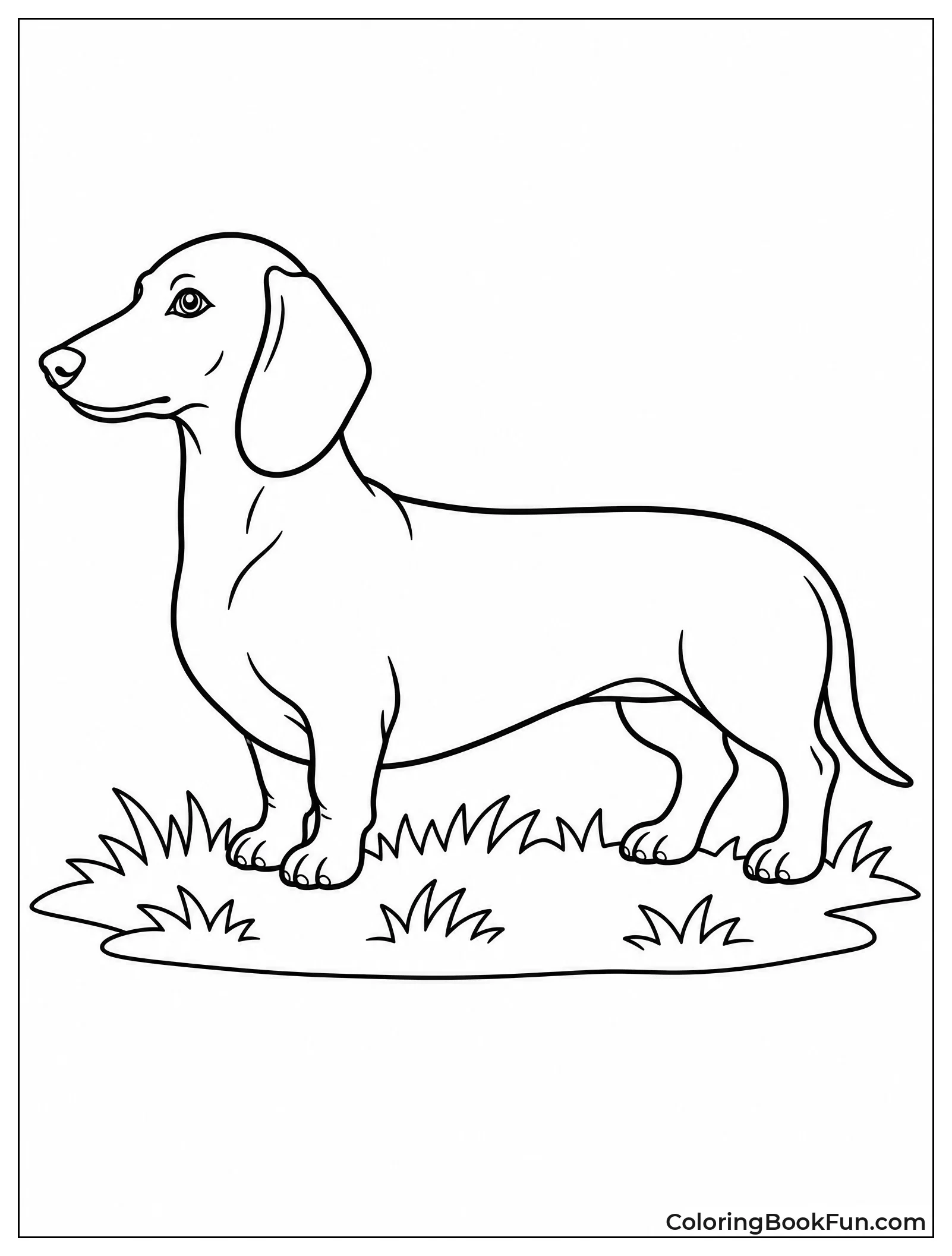 Realistic Dachshund Side Profile