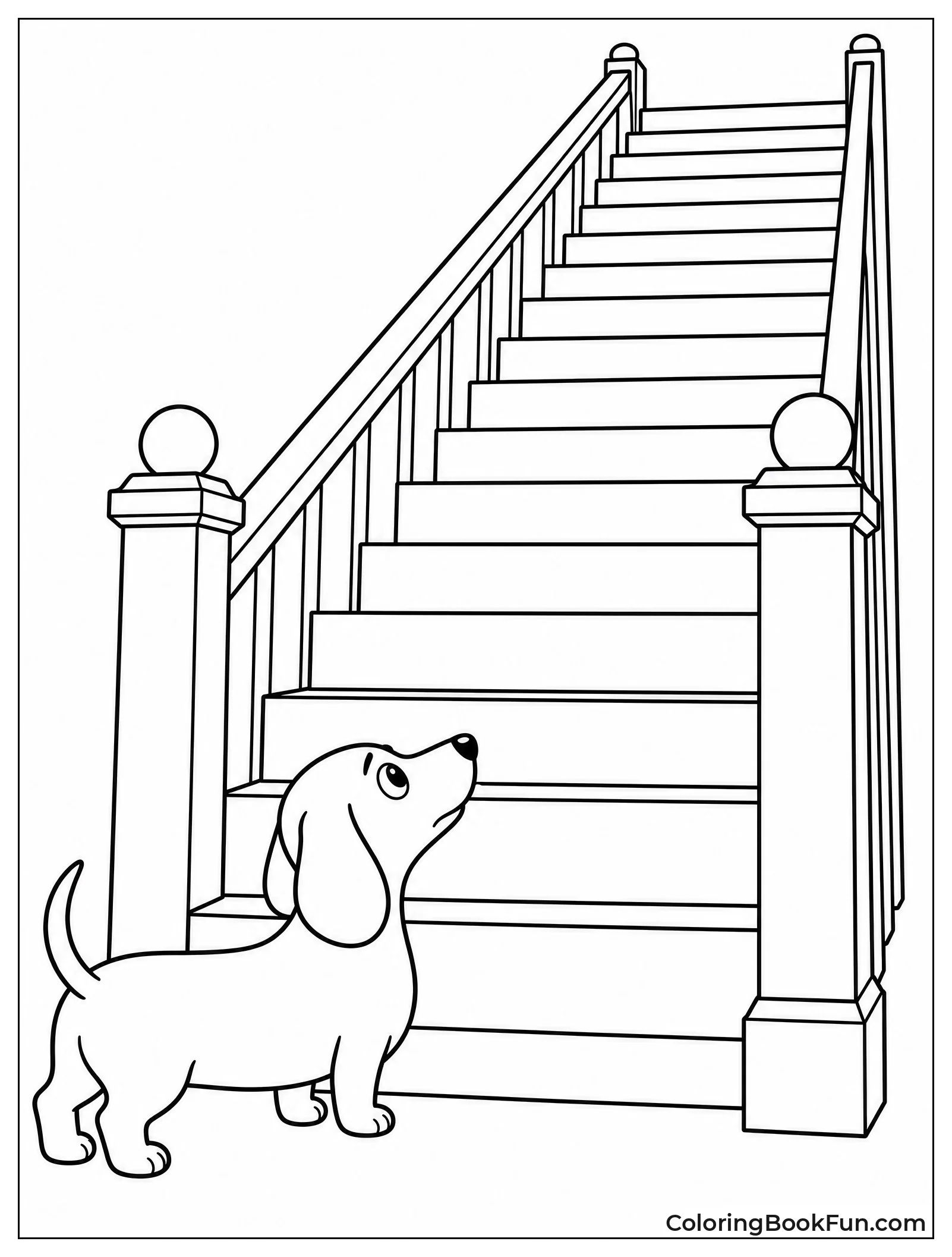 Dachshund Looks at Stairs