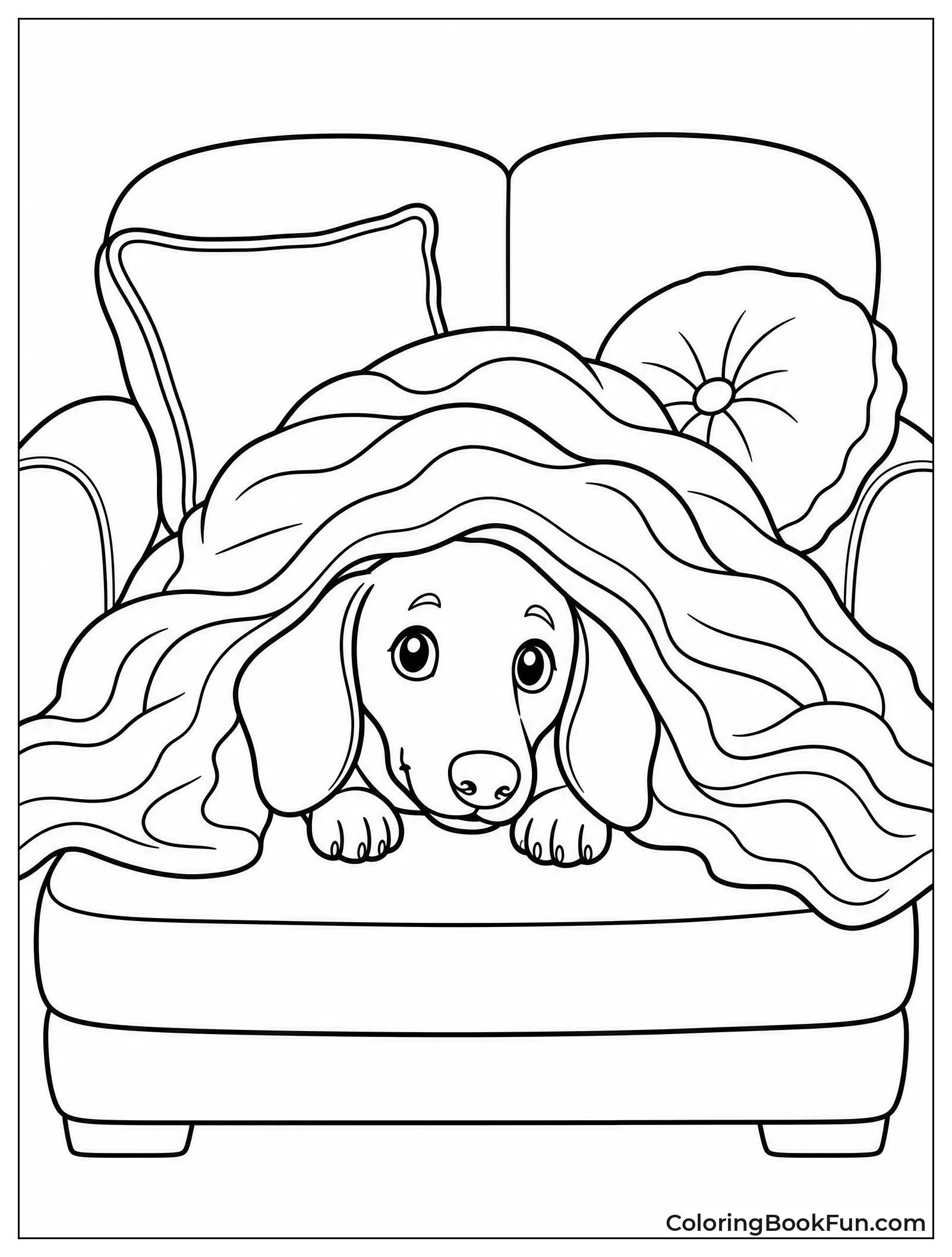 Dachshund Peeks from Blankets