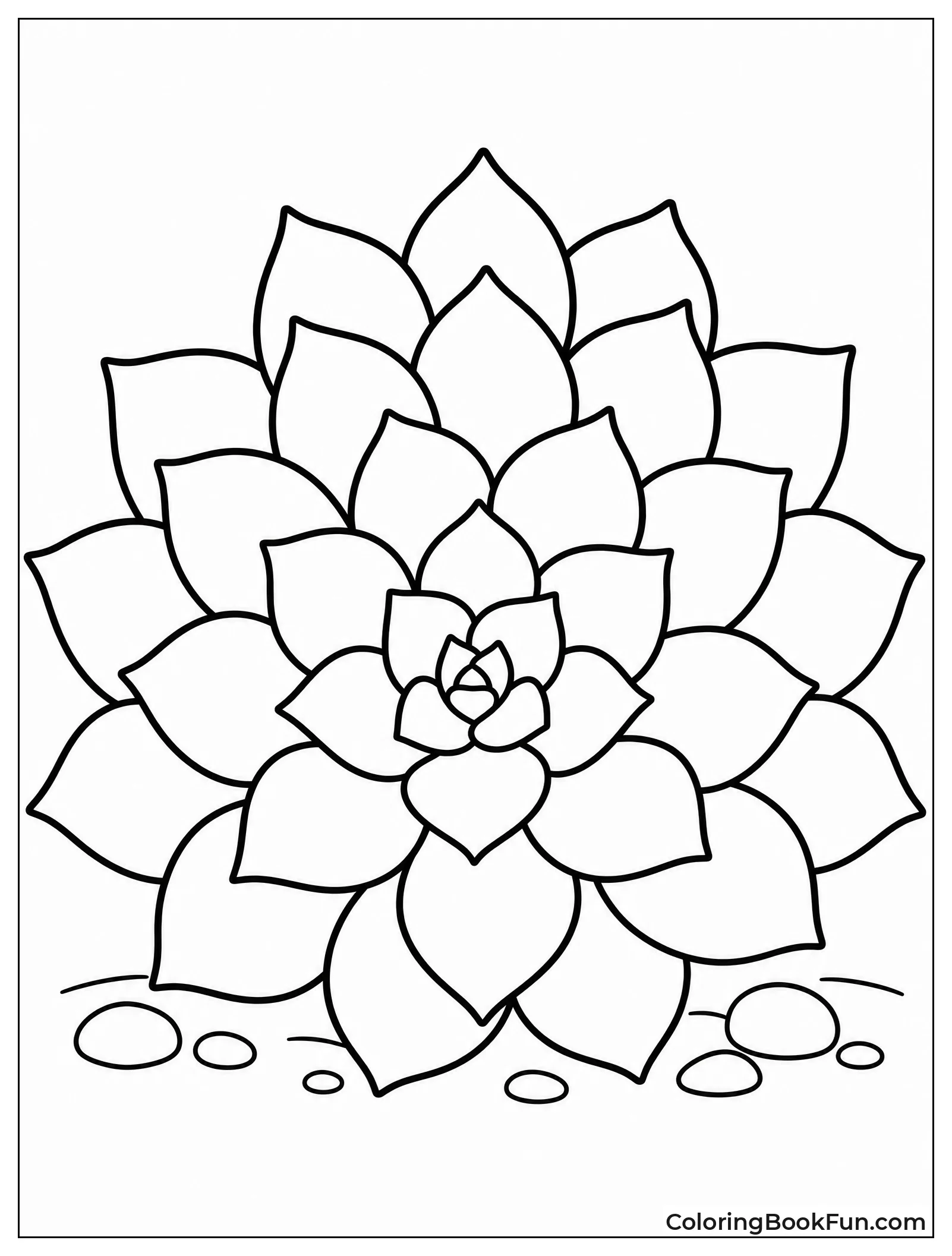 Succulent Leaves Form Rosette Shape