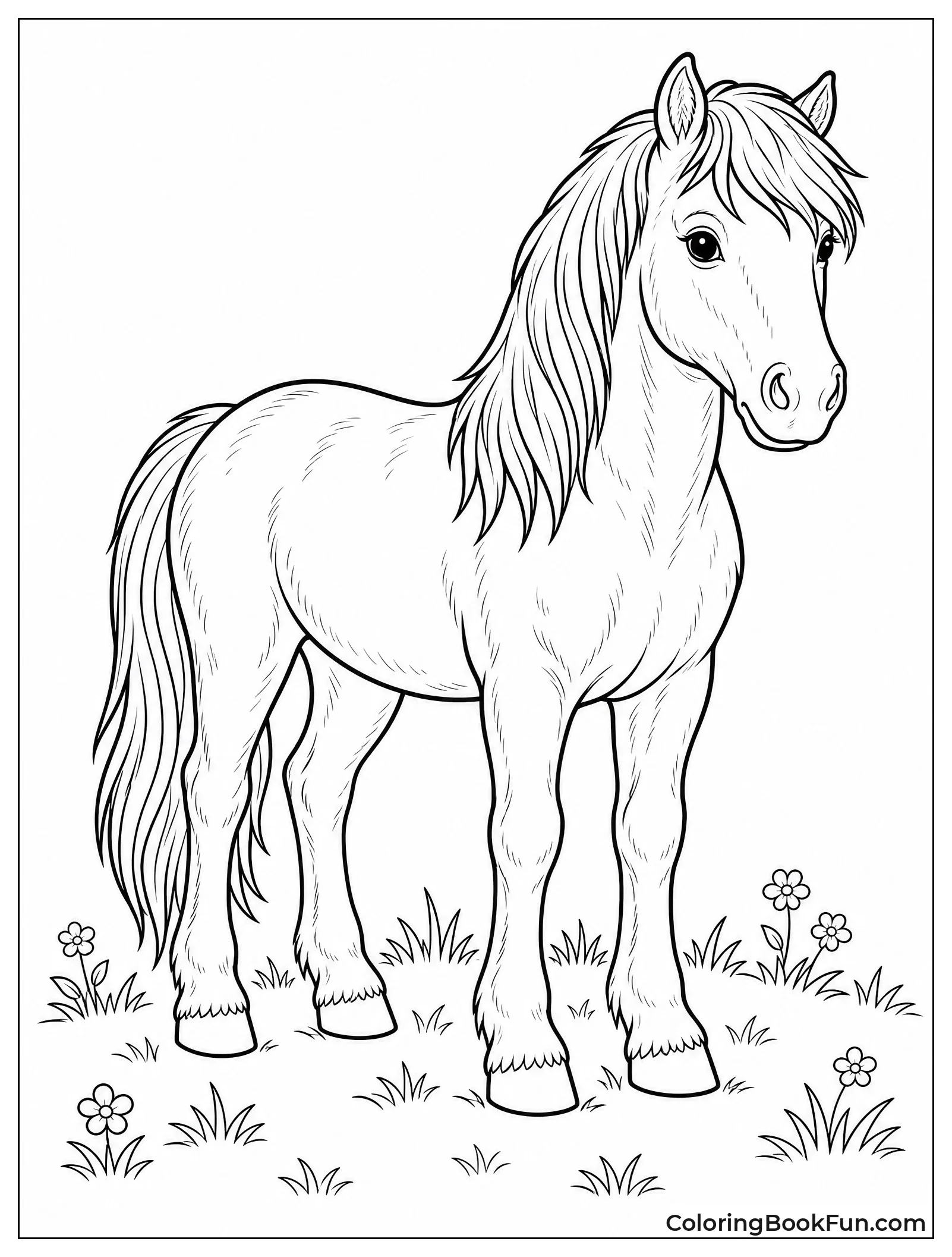Detailed Realistic Adult Pony