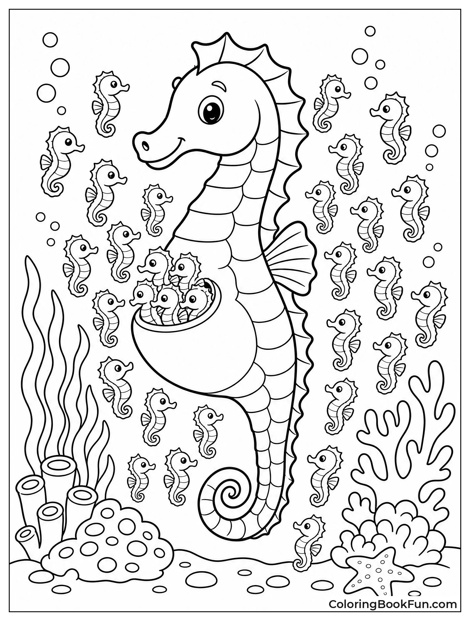 Father Seahorse Releasing Tiny Fry