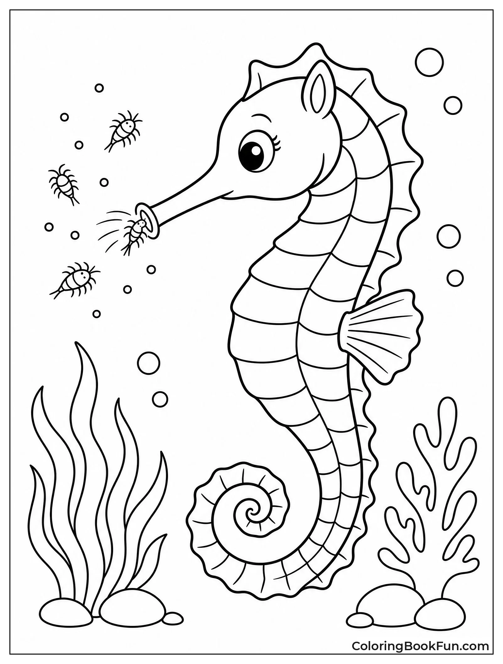 Seahorse Sucking Up Tiny Plankton
