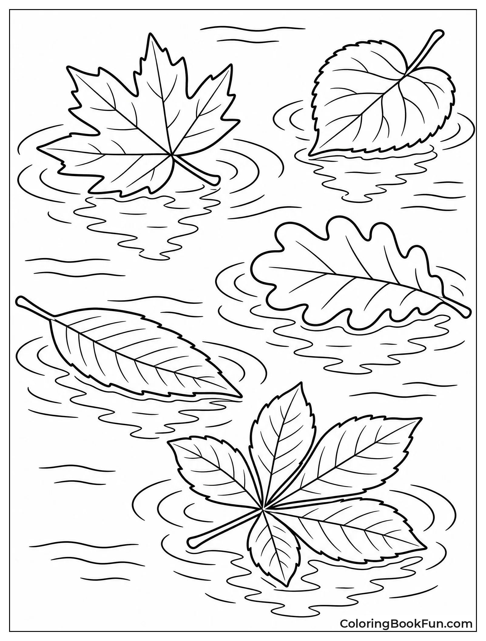 Leaves Float on Rippling Water