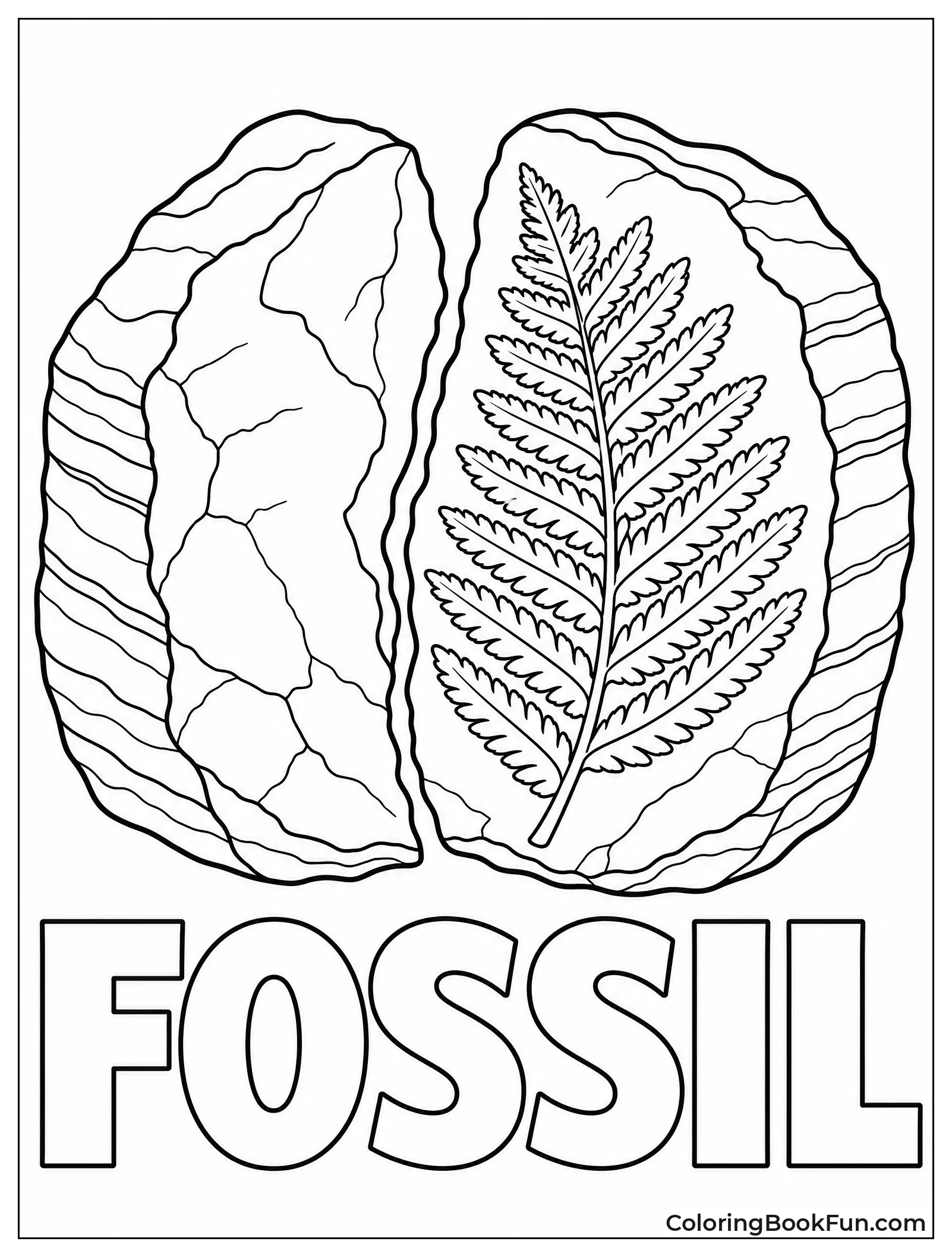 Fern Fossil in Split Rock