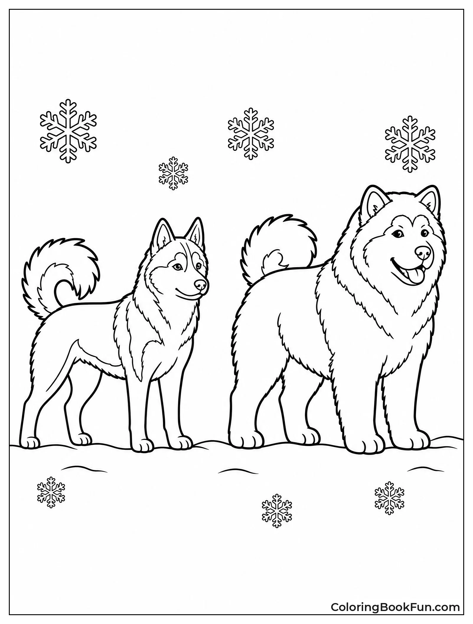 Husky and Malamute Side by Side