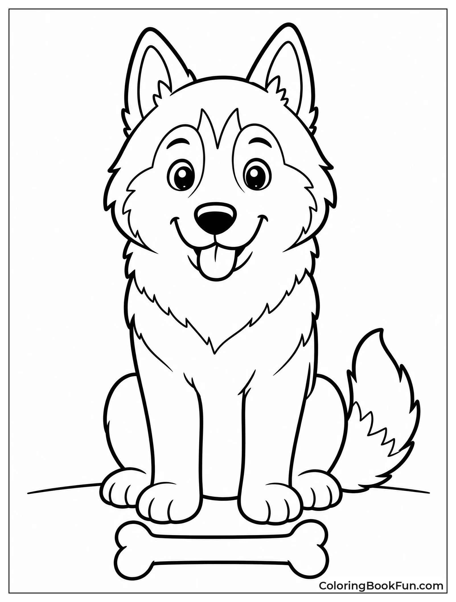Husky Waiting for Treat