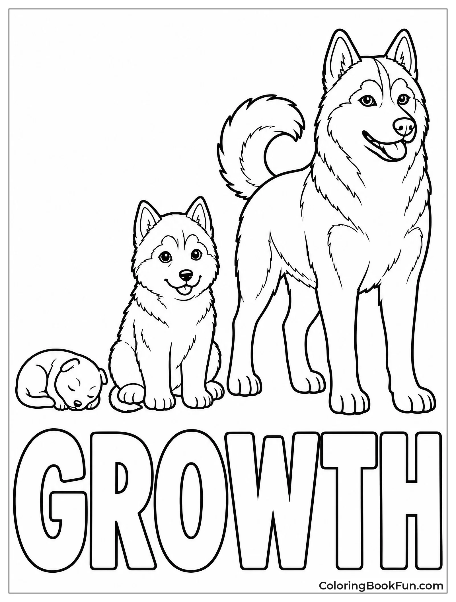 Husky Life Cycle Stages