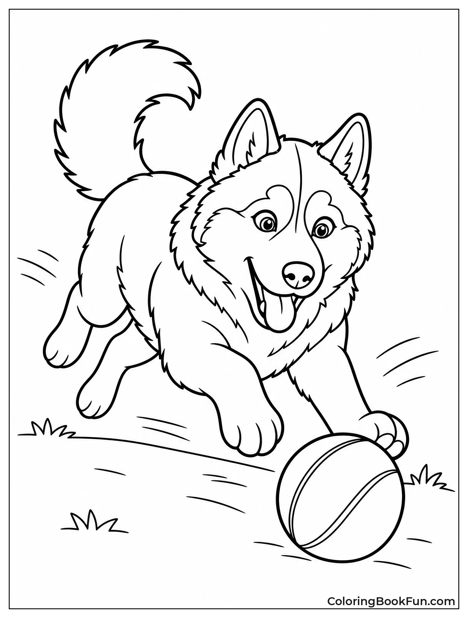 Husky Playing with Ball