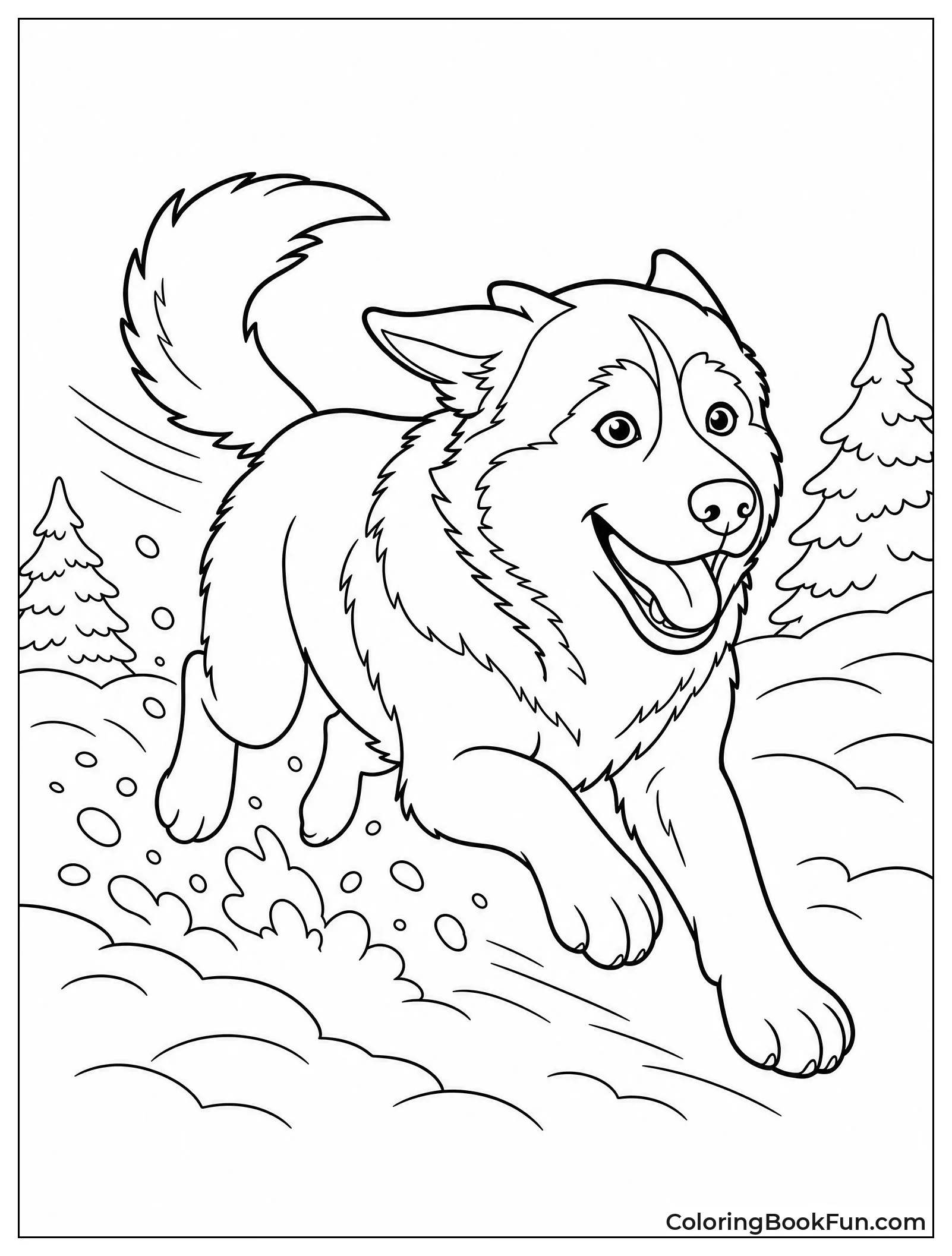 Husky Running in Snow