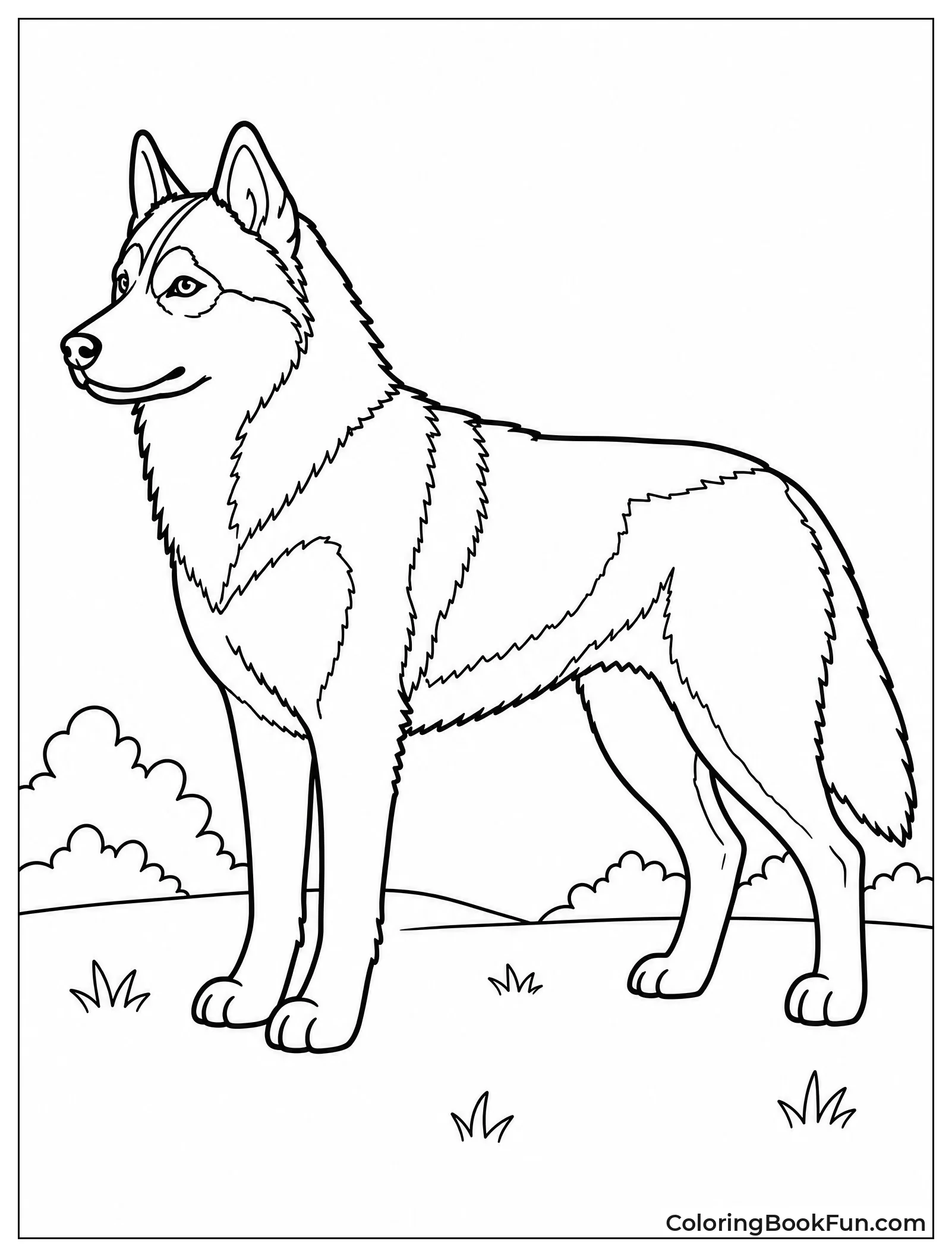 Husky Standing Tall