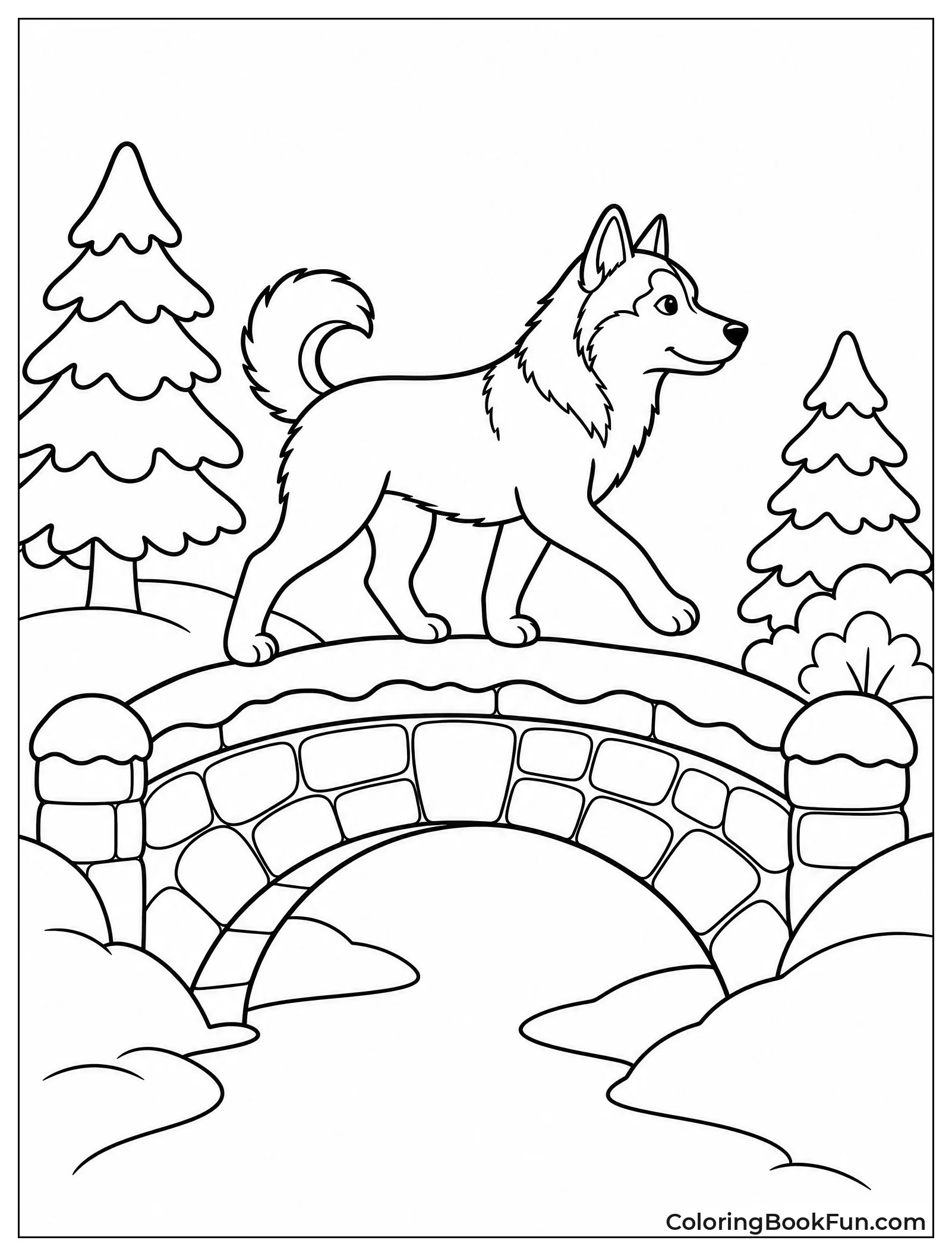 Husky in Winter Park