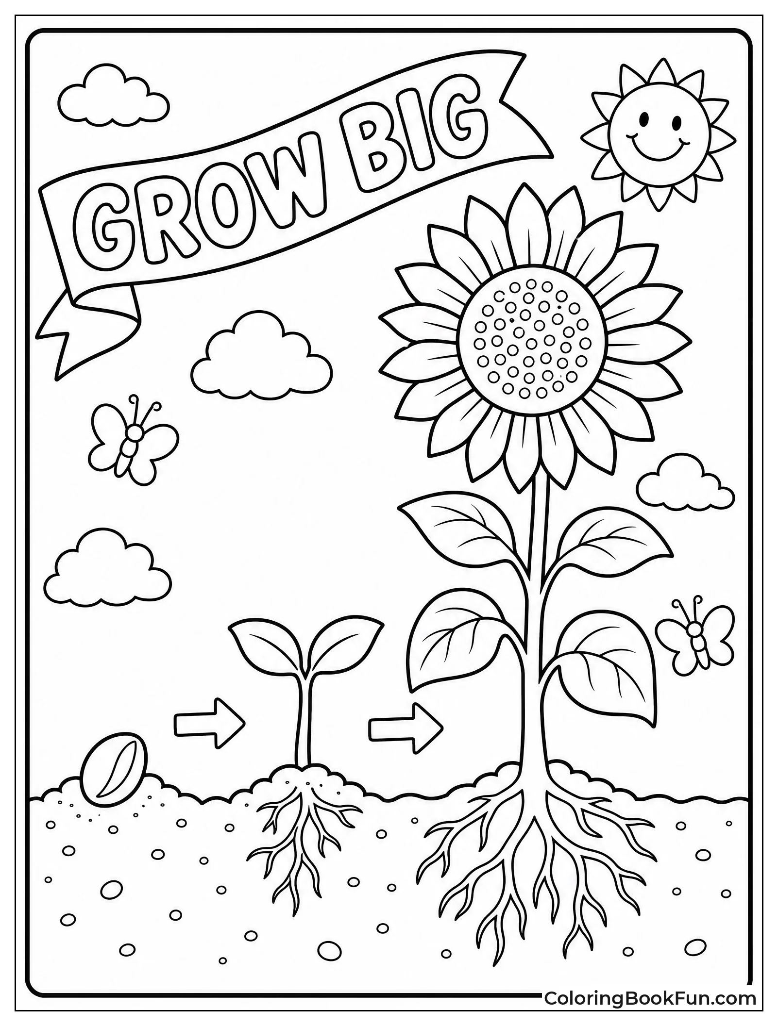Sequence from Seed to Giant Sunflower