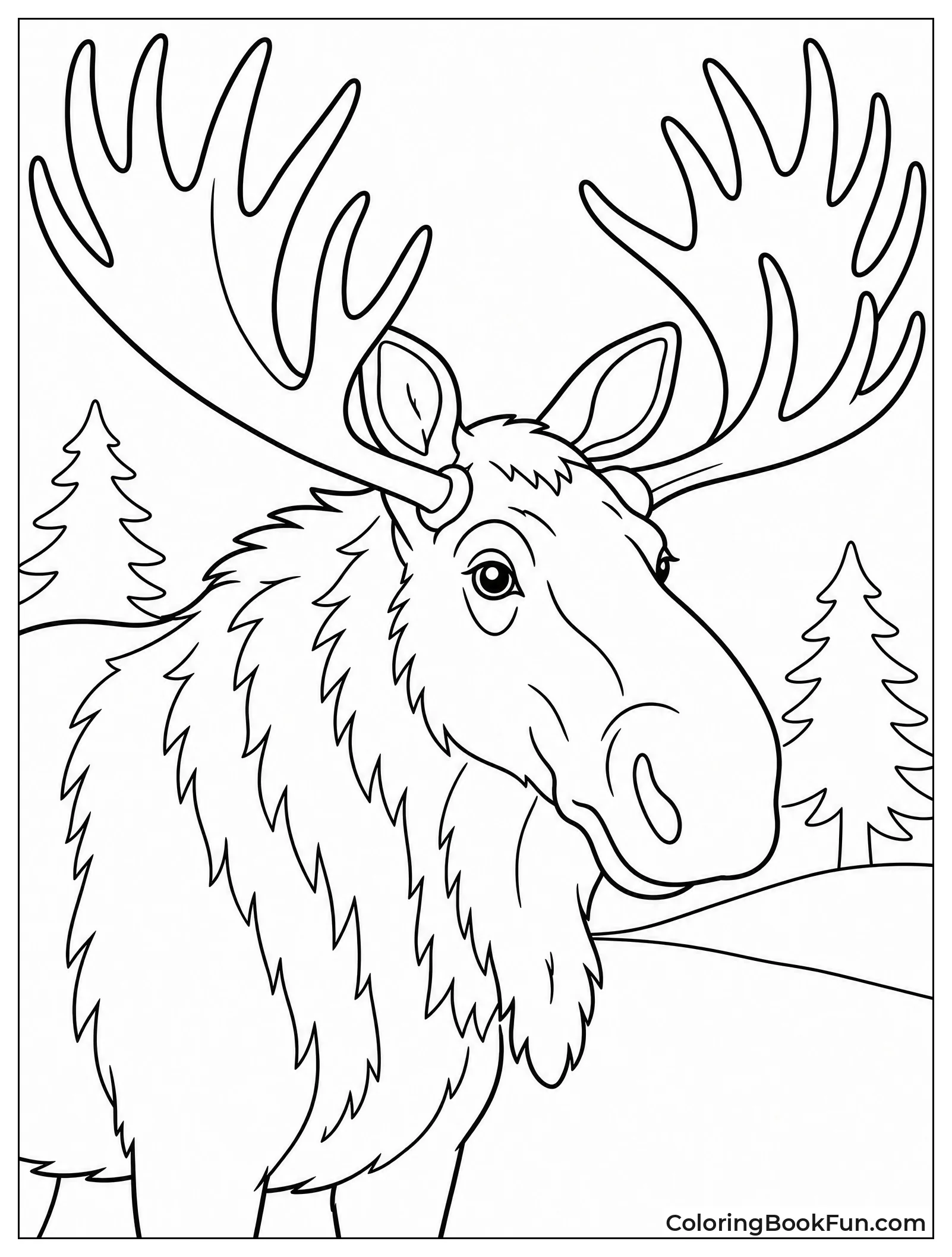 Moose with Detailed Branching Antlers
