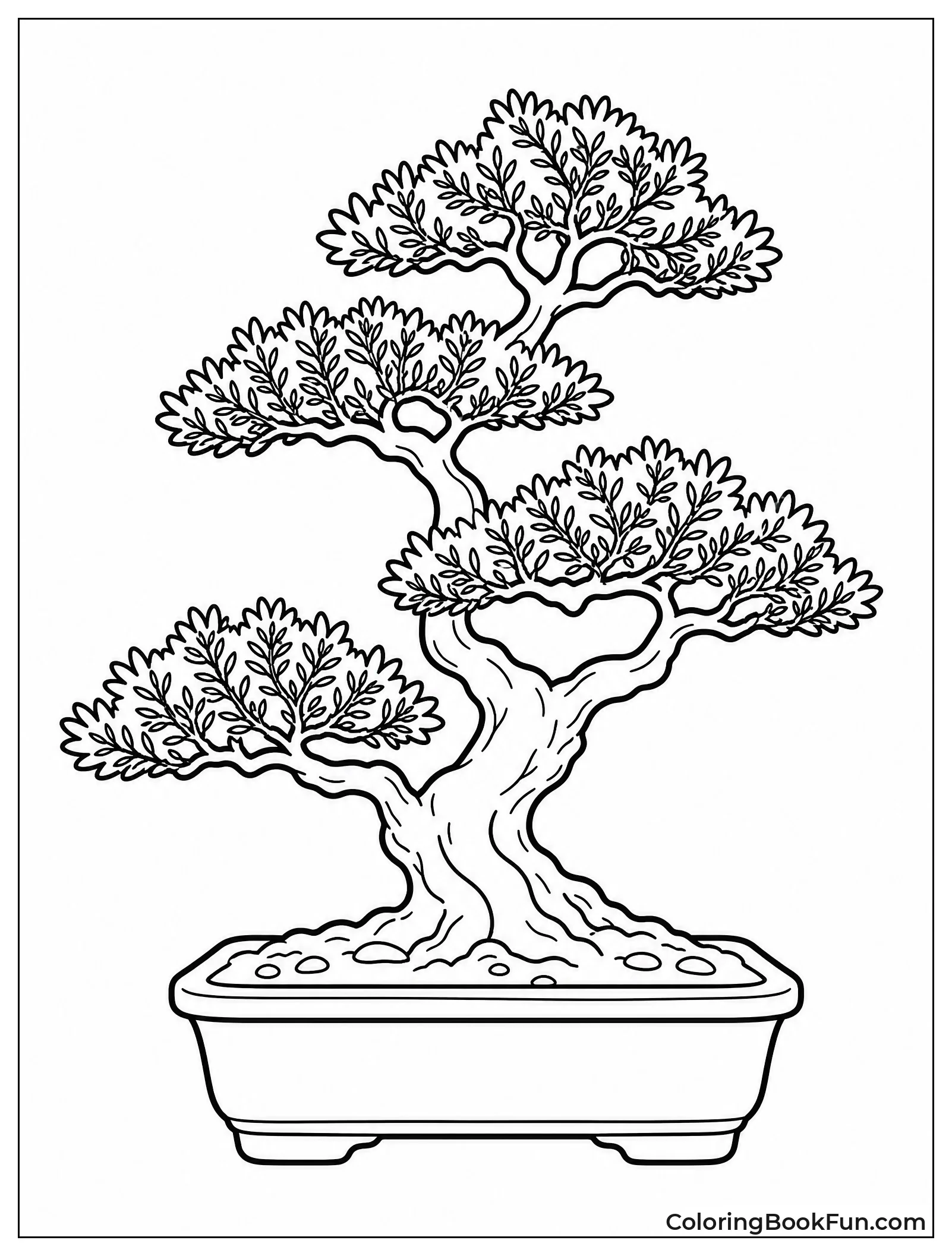 Tiny Leaves on Bonsai Tree