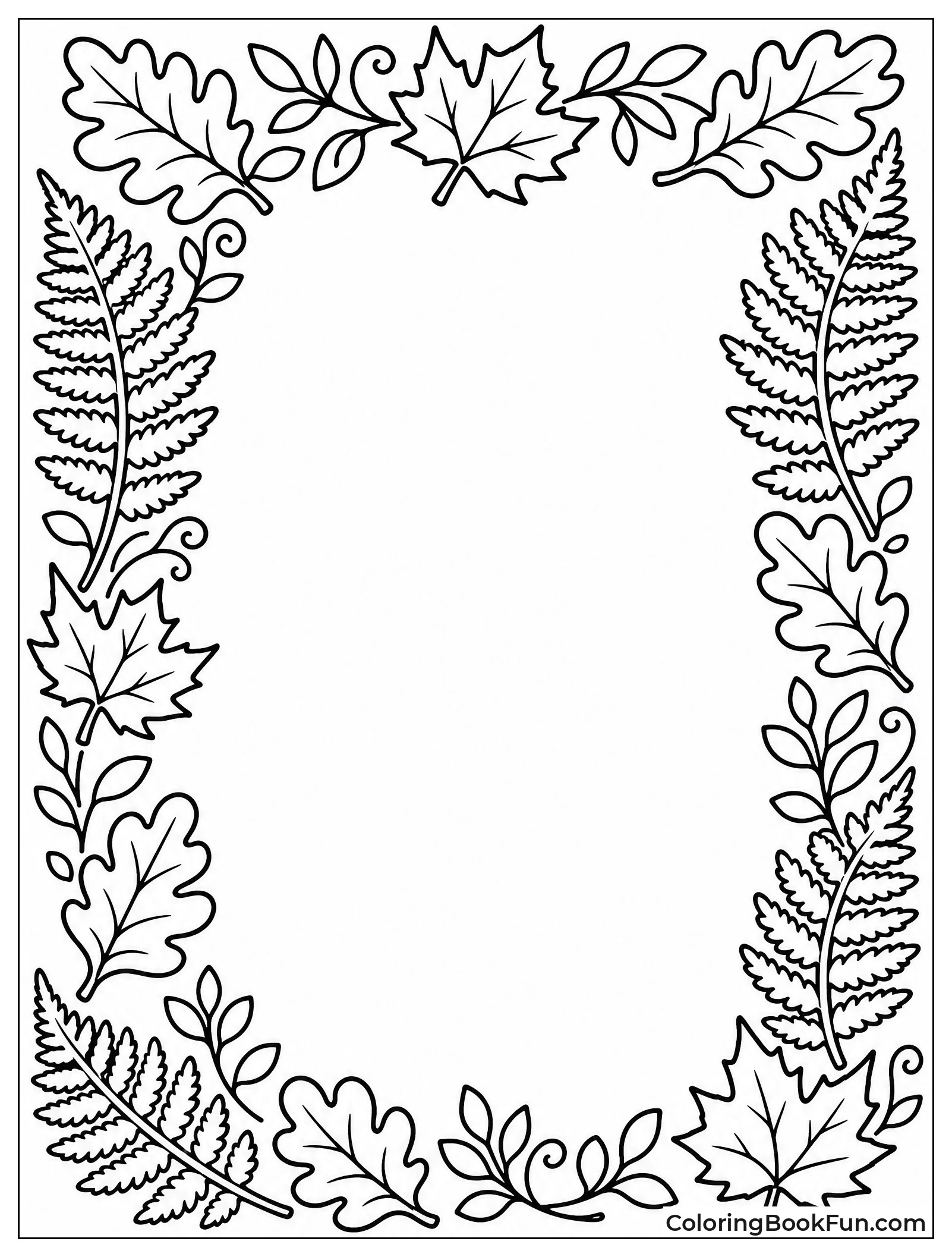 Ferns Form a Pretty Border