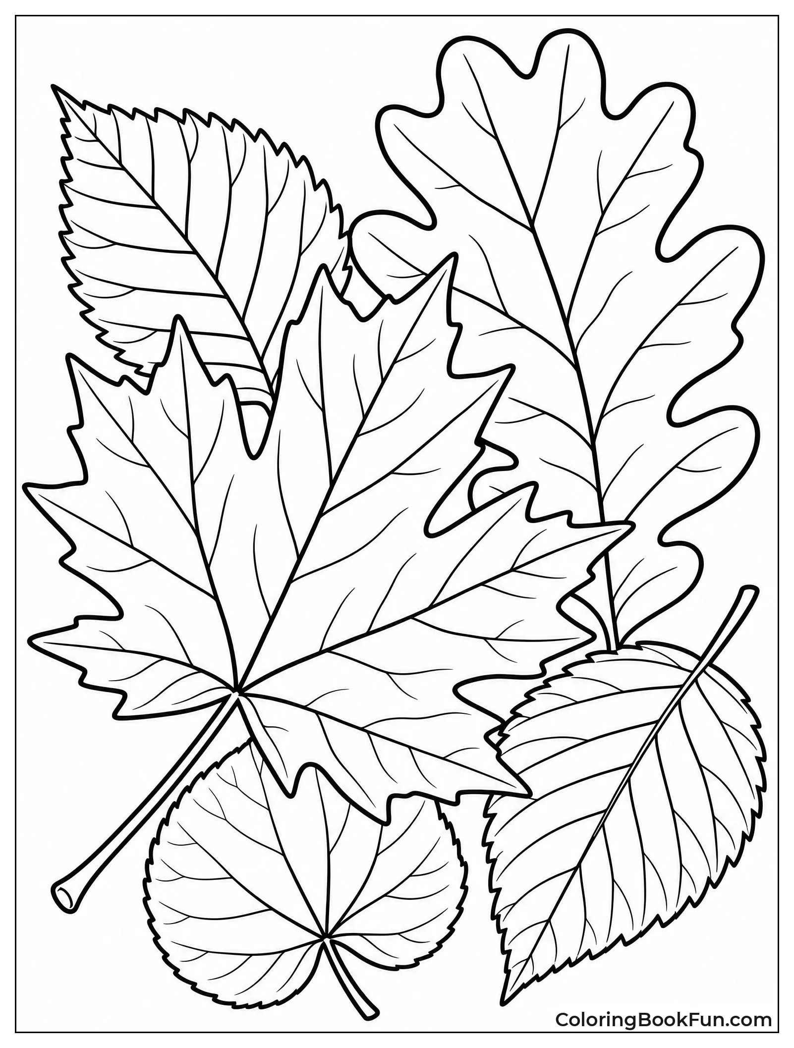 Close Up of Leaf Veins