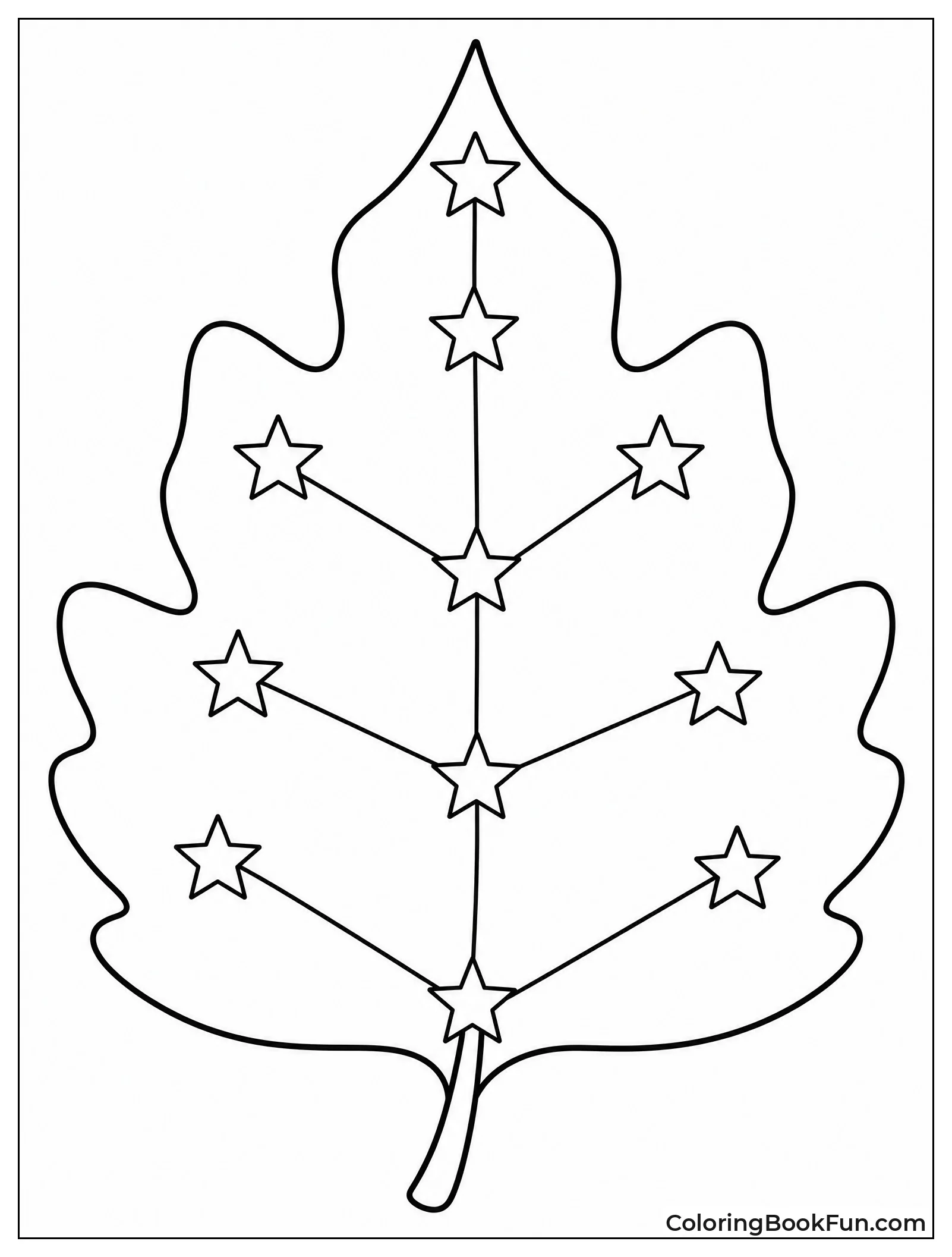 Stars Mark Veins on Leaf