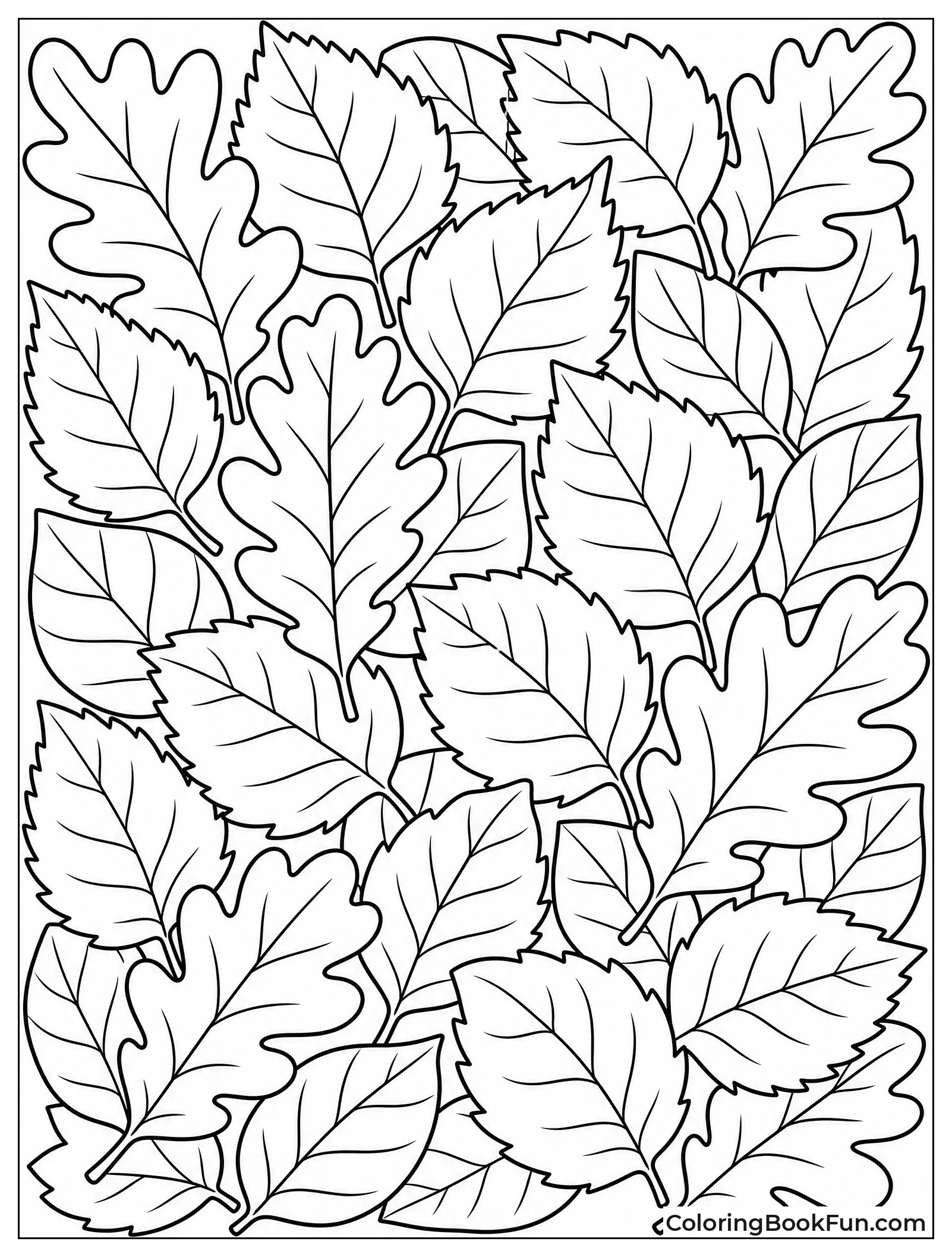 Forest Floor Covered in Leaves