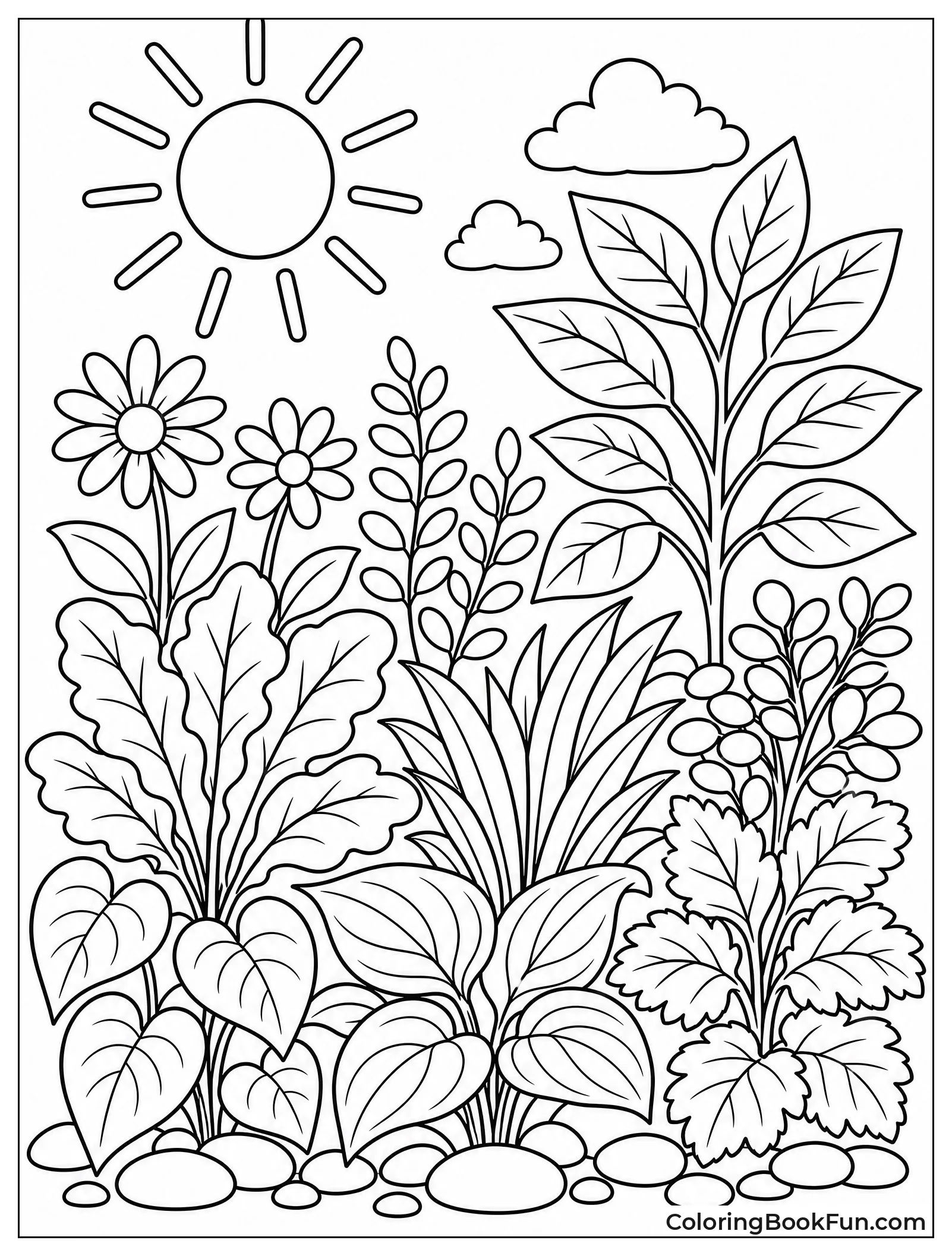 Garden Plants Glow in Sunlight