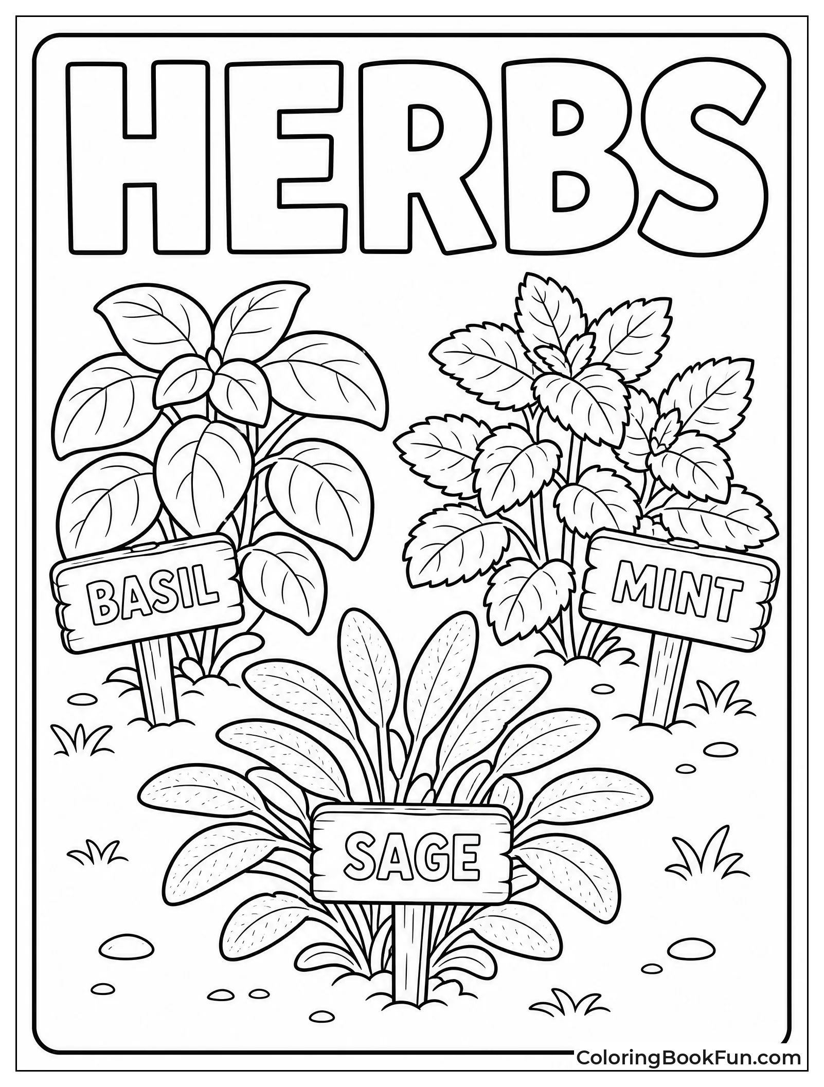 Fresh Herbs with Garden Labels