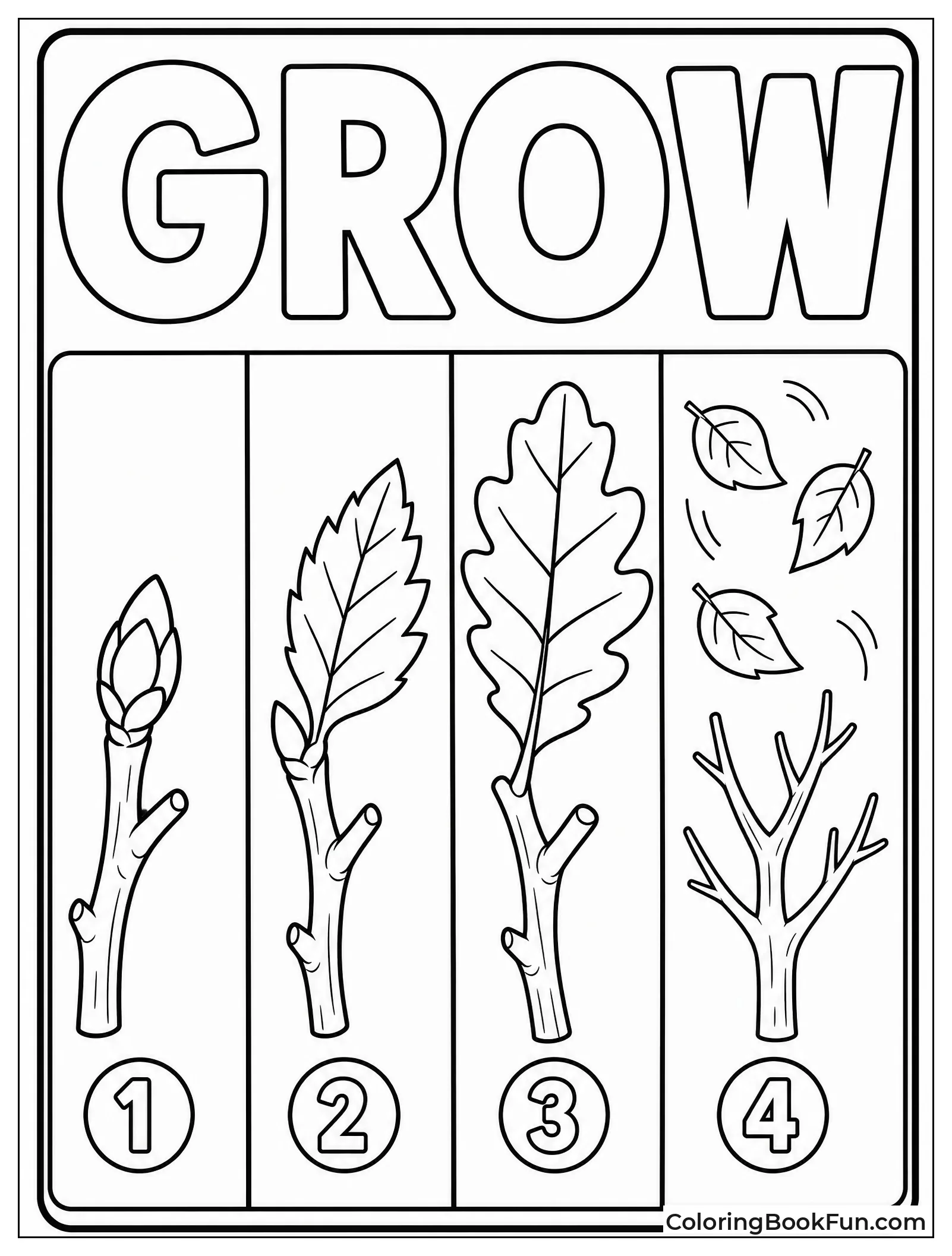 Four Panels Show Leaf Life