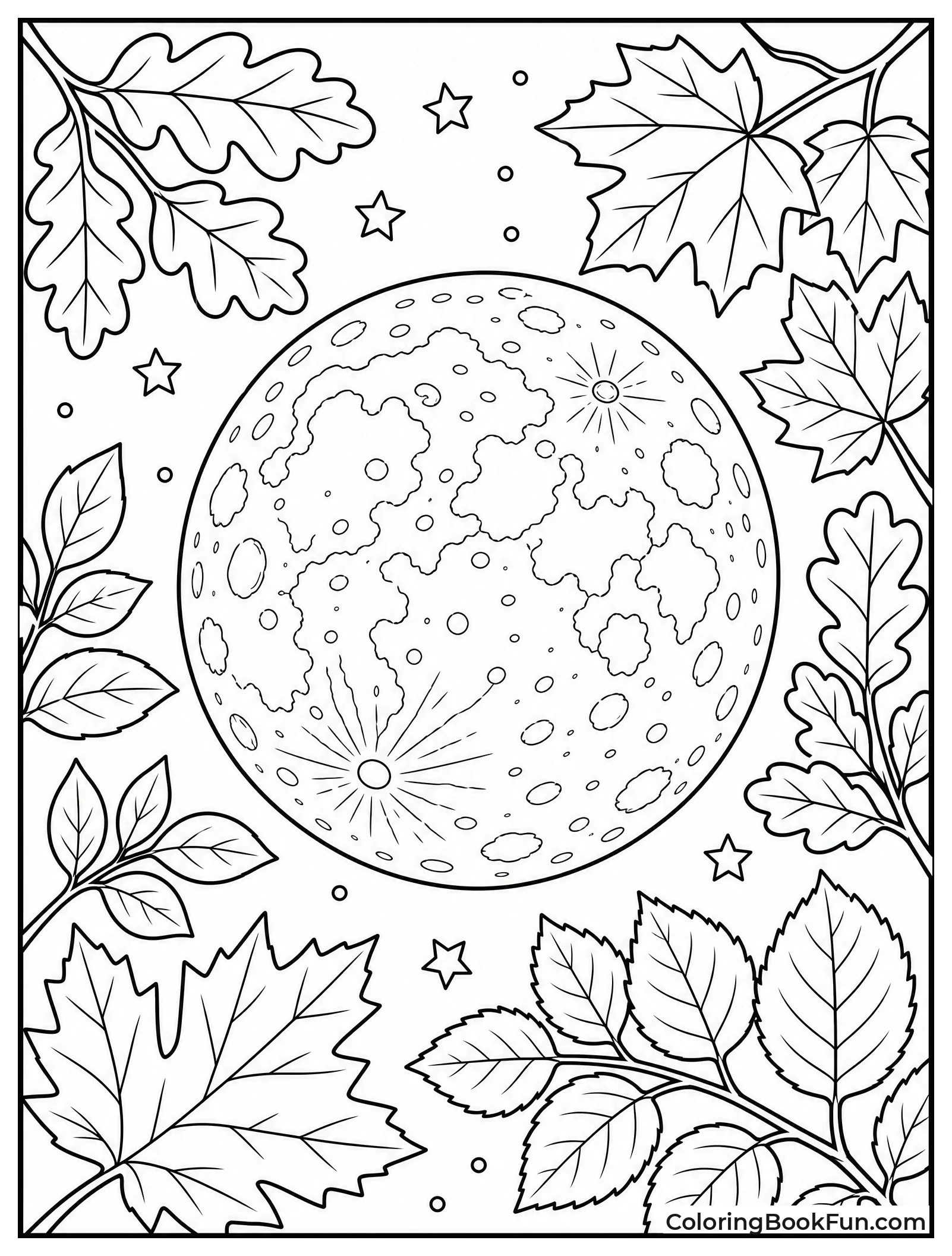 Leaves Silhouette against Full Moon