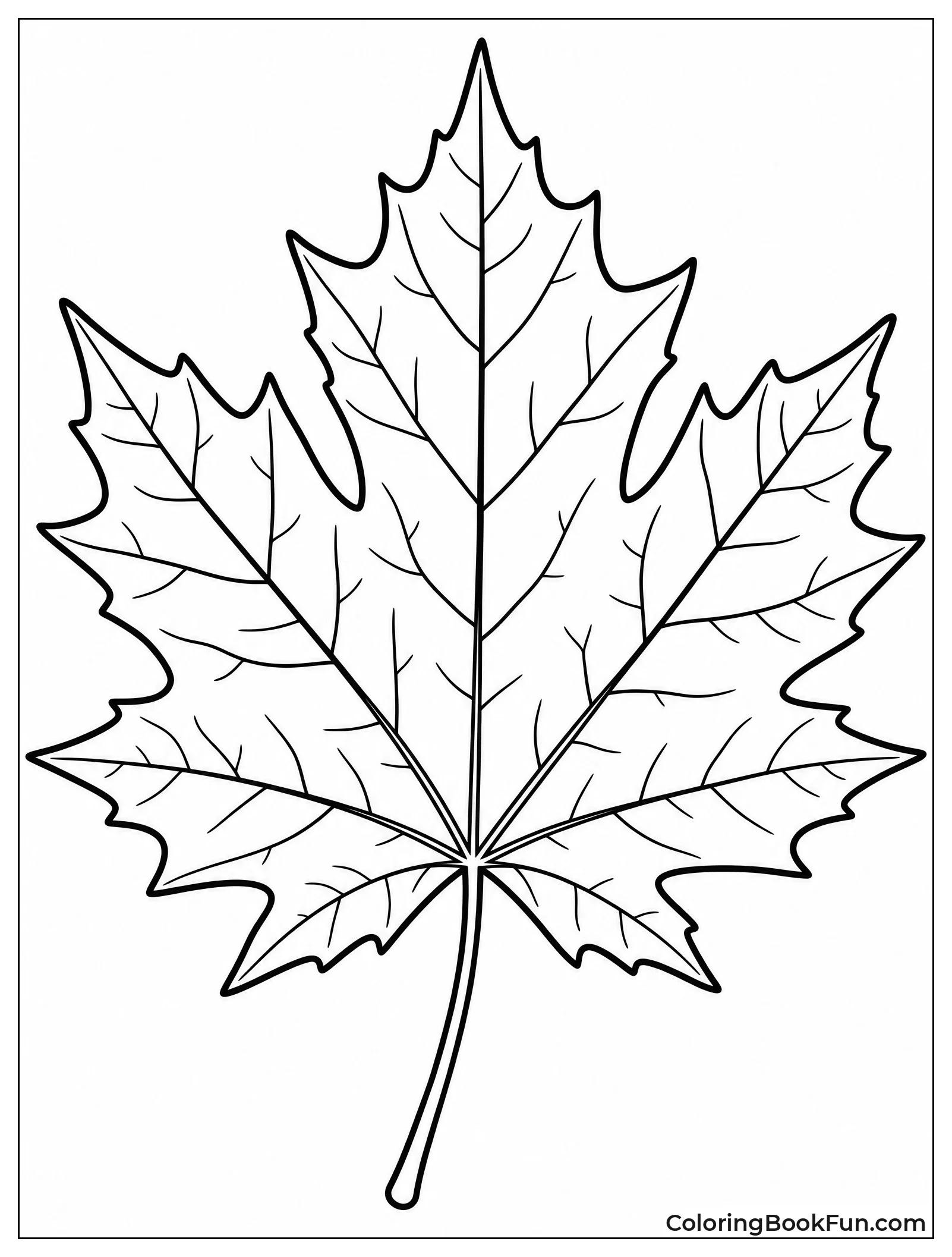 Detailed Maple Leaf with Veins